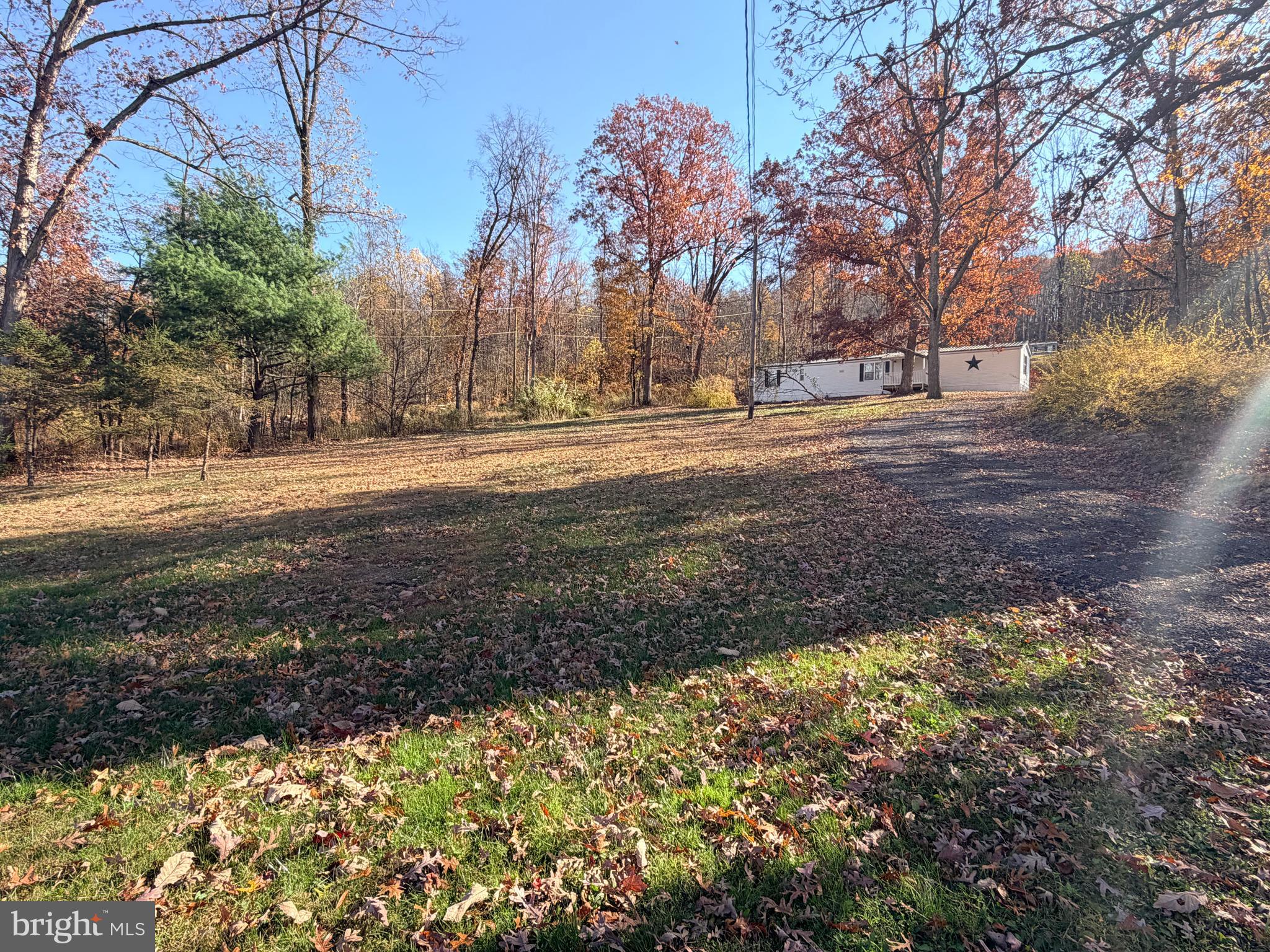 451 Upper Bailey Road Newport, PA 17074 - Photo 8 of 25 a view of dirt yard with a large tree