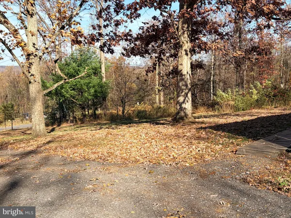 a view of tree