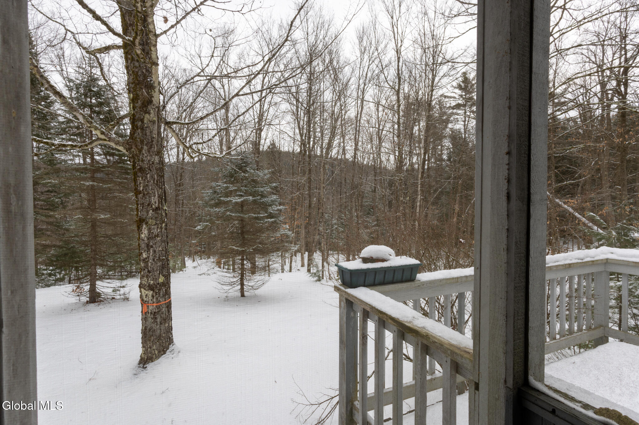 1506 Adirondack Road Schroon Lake, NY 12870 - Photo 36 of 50 1506 ADK-41