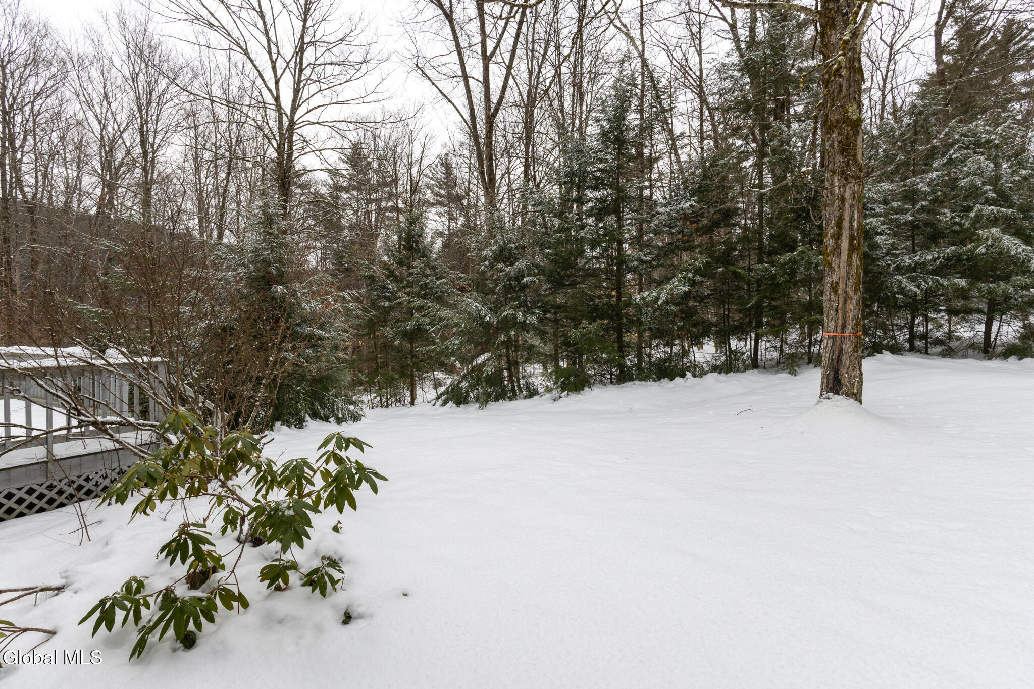 1506 Adirondack Road Schroon Lake, NY 12870 - Photo 39 of 50 1506 ADK-46