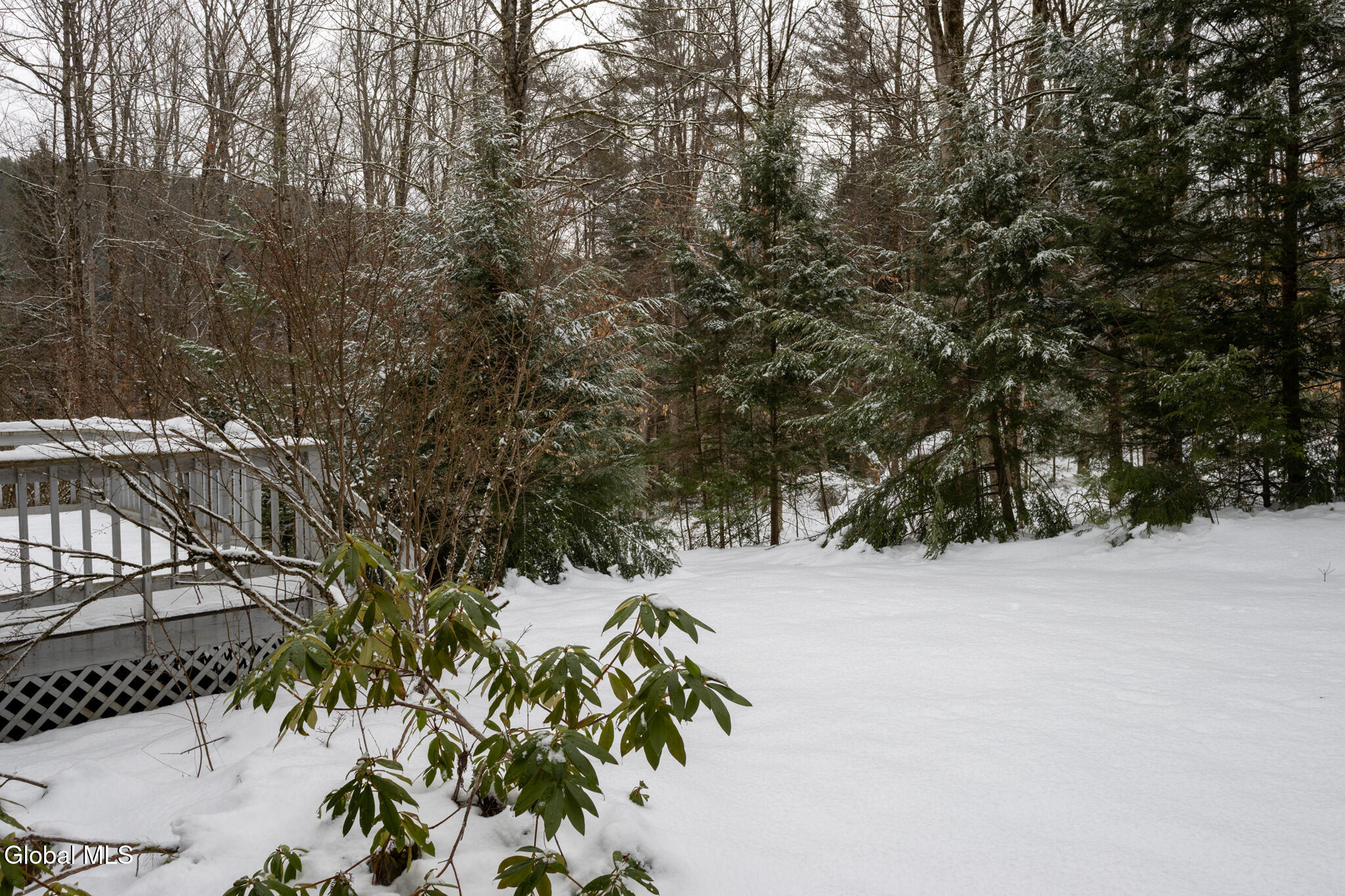 1506 Adirondack Road Schroon Lake, NY 12870 - Photo 40 of 50 1506 ADK-47