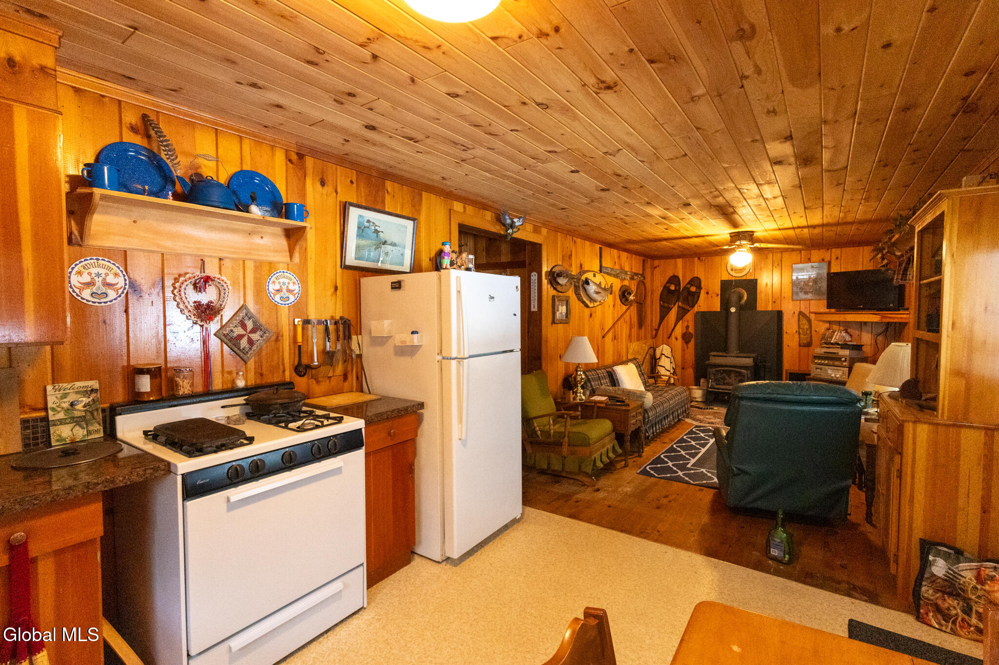 1506 Adirondack Road Schroon Lake, NY 12870 - Photo 9 of 50 1506 ADK-15