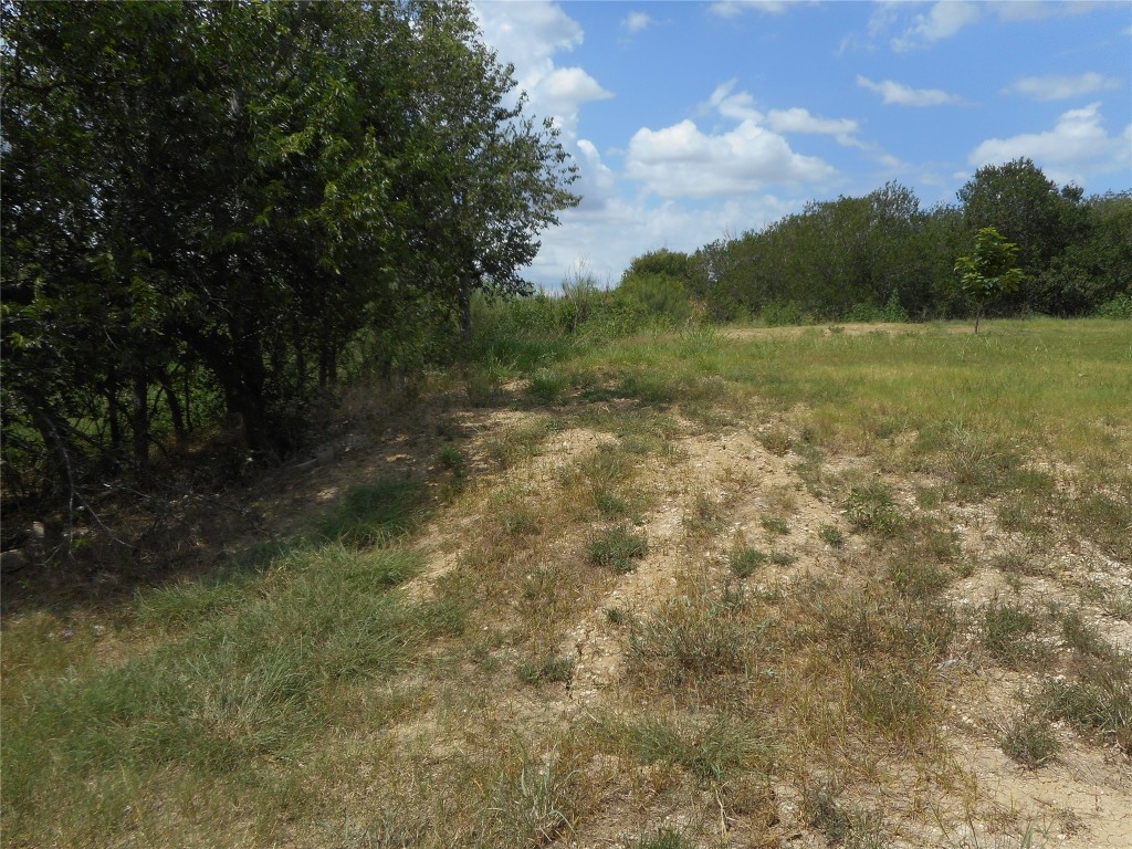 808 Maple Street Taylor, TX 76574 - Photo 2 of 4 a view of a field with an trees