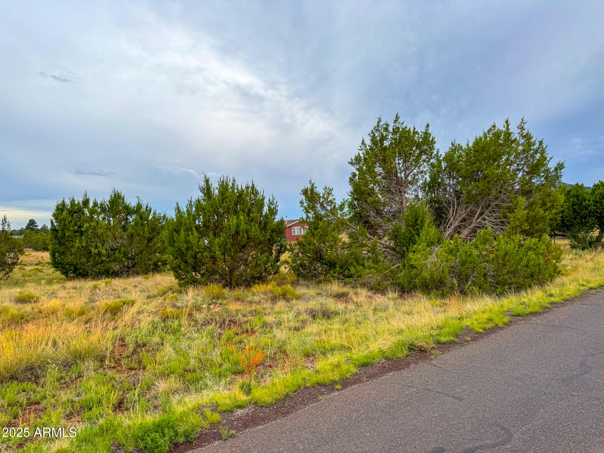 890 Hoctor Road, Unit 58 Williams, AZ 86046 - Photo 17 of 17 a view of a yard with plants