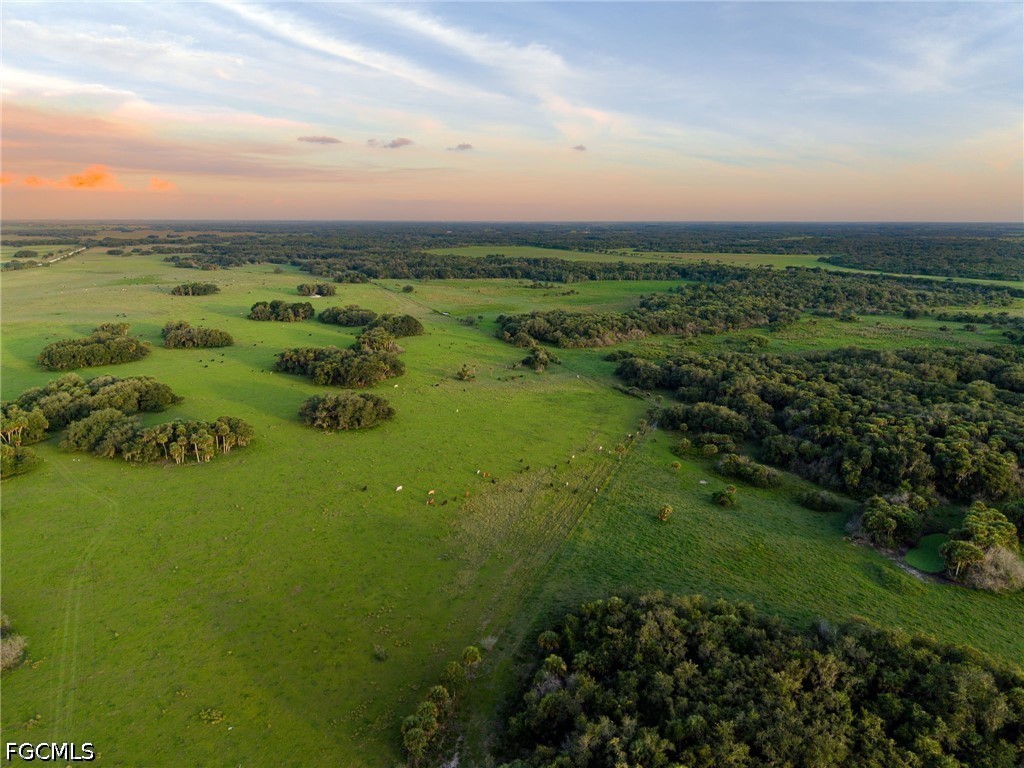 21405 Dooley Grade Road Clewiston, FL 33440 - Photo 43 of 50