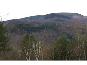 0 Switchback Way Jackson, NH 03845 - Photo 1 of 1 Gallery Image 1