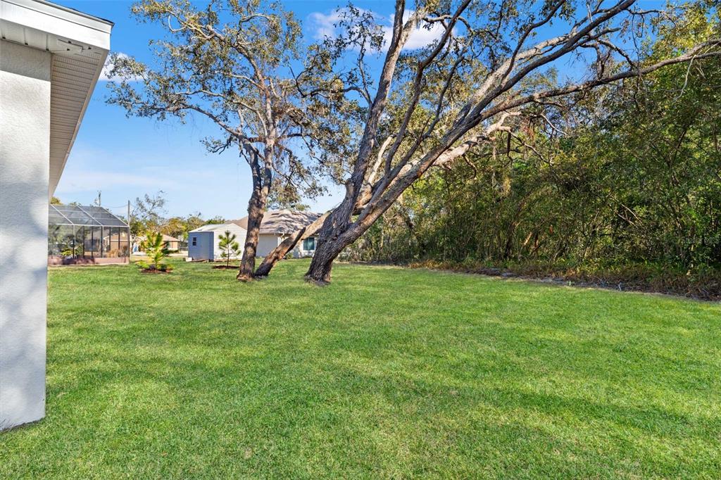 7414 Balsam Street Spring Hill, FL 34606 - Photo 32 of 40