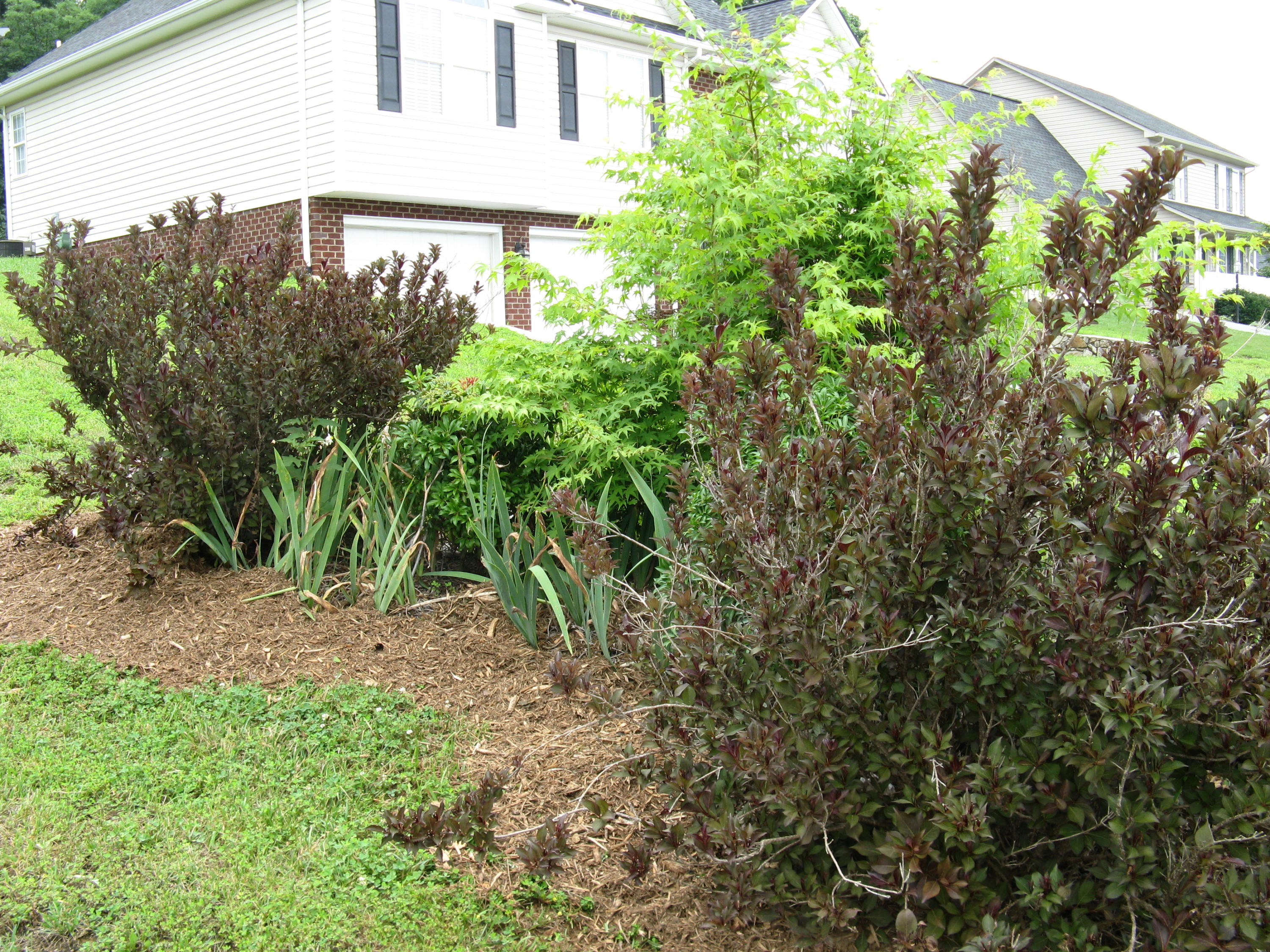 629 Castleridge Road Vinton, VA 24179 - Photo 19 of 19 landscaping