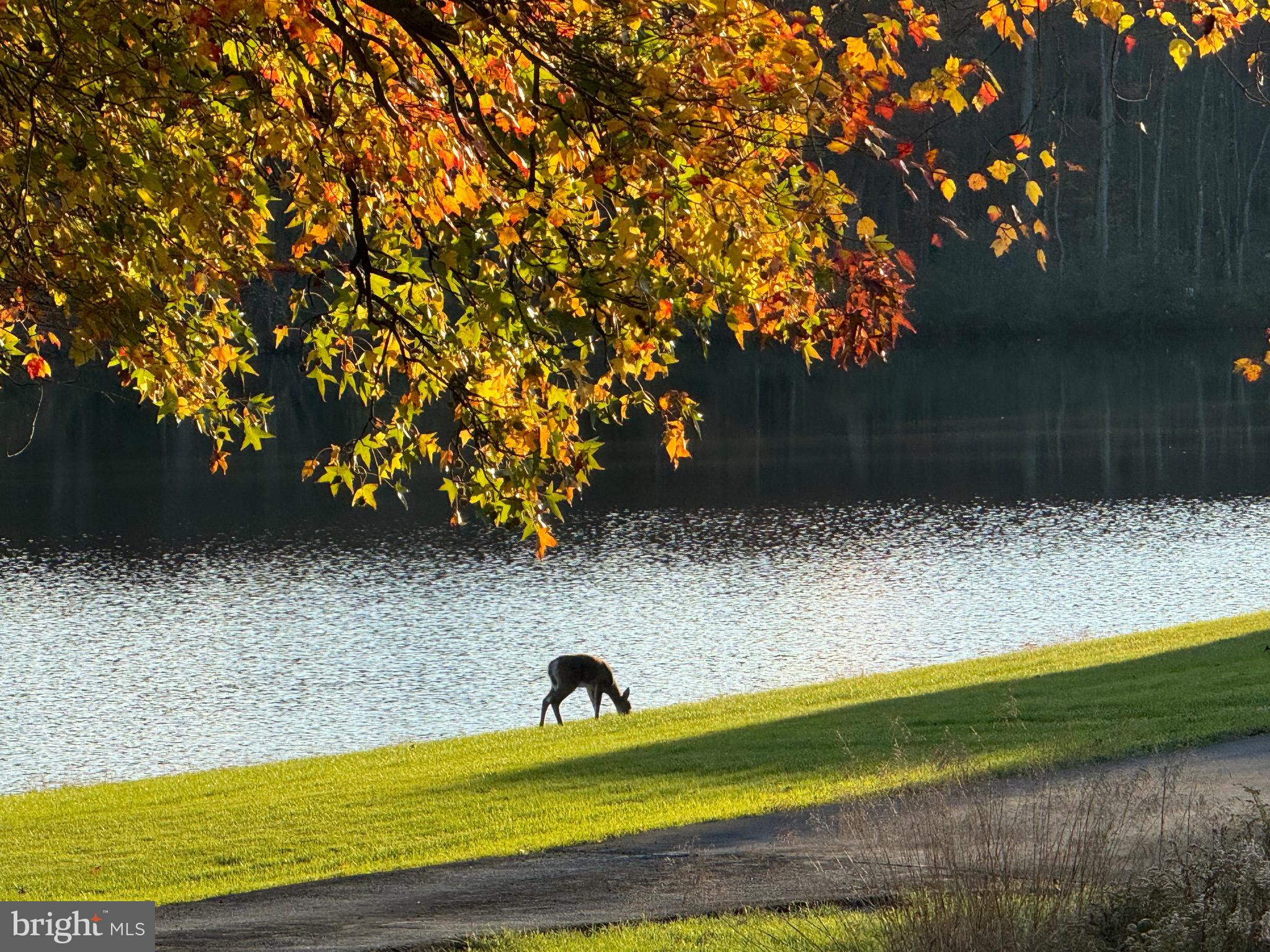 1660 St Peters Road Pottstown, PA 19465 - Photo 53 of 80