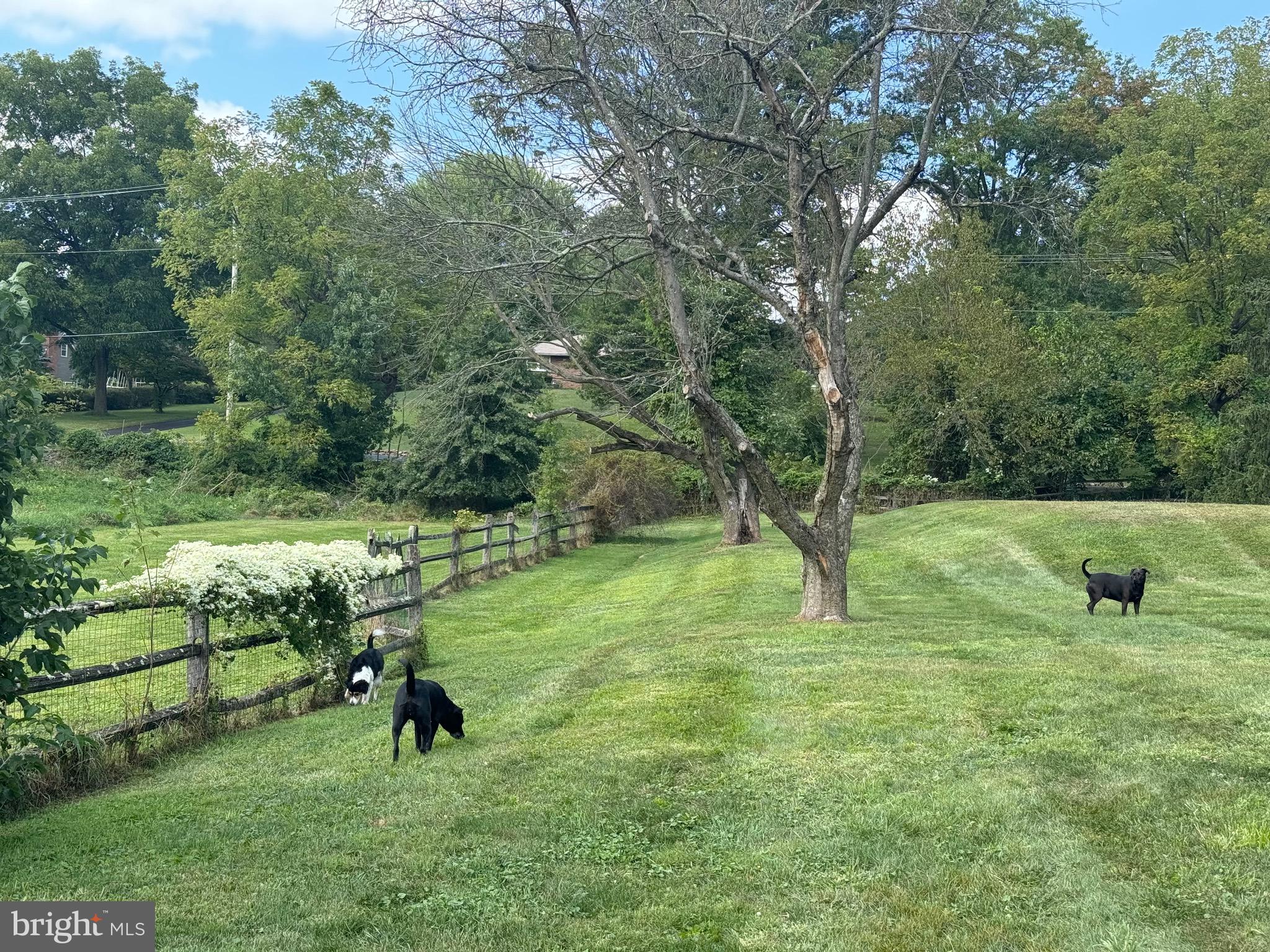 1660 St Peters Road Pottstown, PA 19465 - Photo 61 of 80