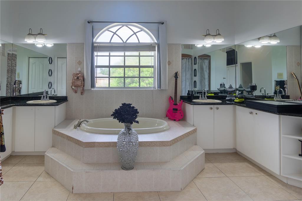 6151 New Osprey Point Weeki Wachee, FL 34607 - Photo 41 of 63 a bathroom with a sink bath tub and a mirror