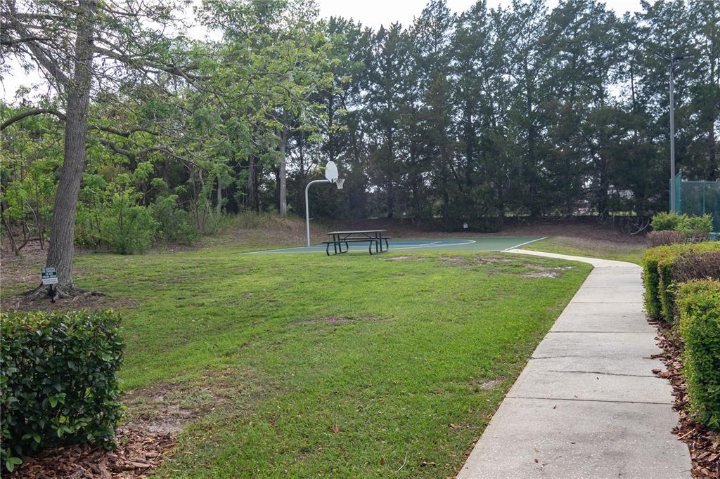 6151 New Osprey Point Weeki Wachee, FL 34607 - Photo 58 of 63 a view of a park with large trees