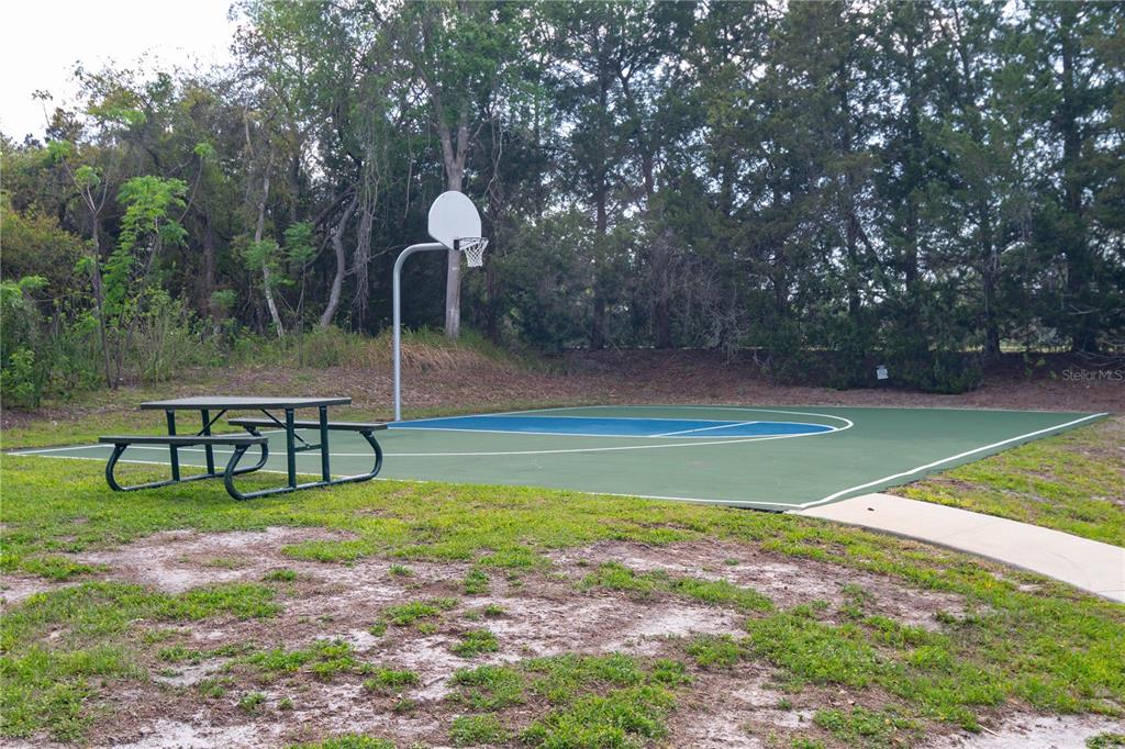 6151 New Osprey Point Weeki Wachee, FL 34607 - Photo 59 of 63 a view of a park with large trees