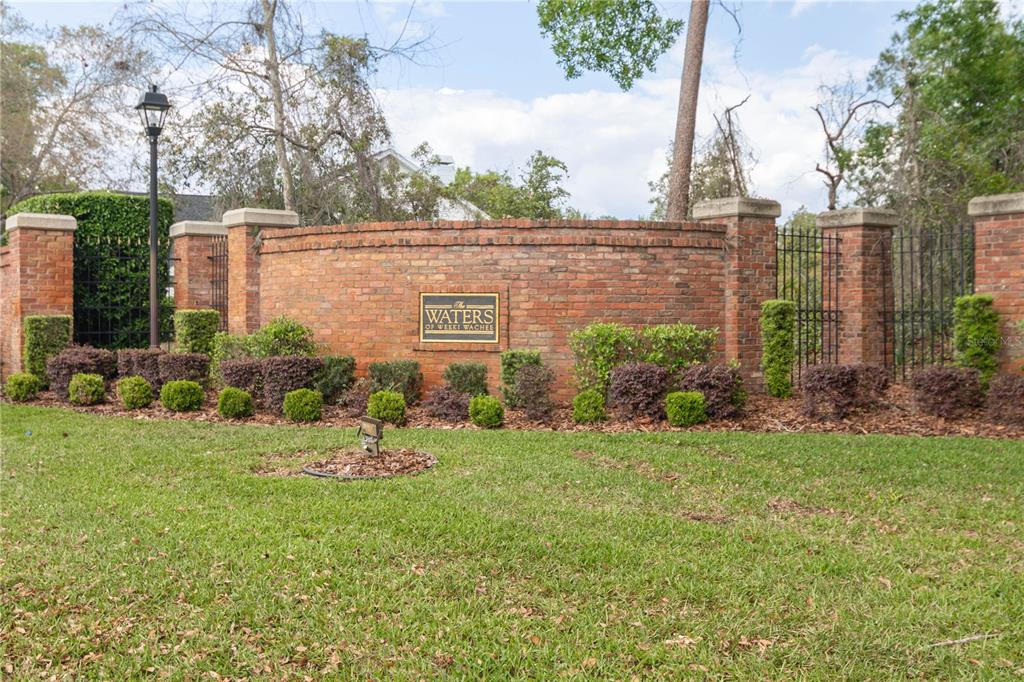 6151 New Osprey Point Weeki Wachee, FL 34607 - Photo 62 of 63 a backyard of a house with lots of green space