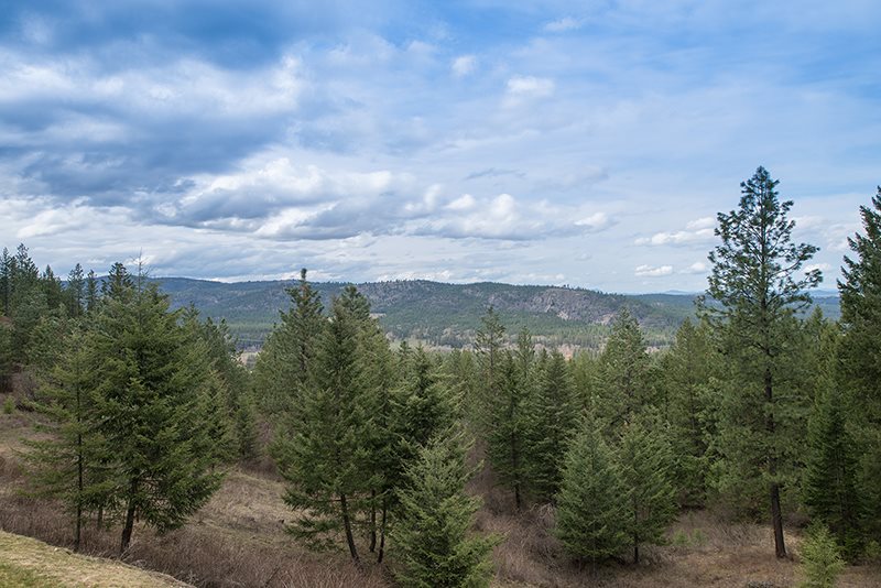 2306 West N Five Mile Road Spokane, WA 99208 - Photo 5 of 20