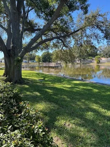 a view of a trees in a yard