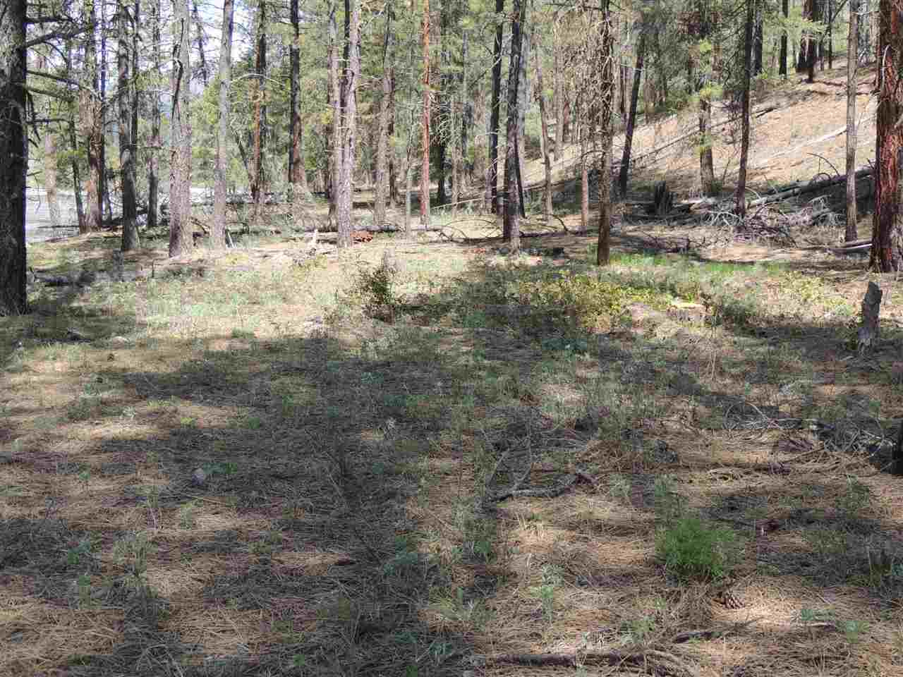 2748 Y House Road Kettle Falls, WA 99141 - Photo 4 of 5 Gallery Image 4