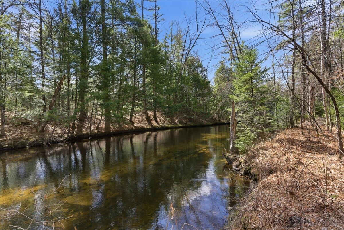 471 Bisbee Town Road Waterford, ME 04088 - Photo 8 of 79 08-exterior_creek-1