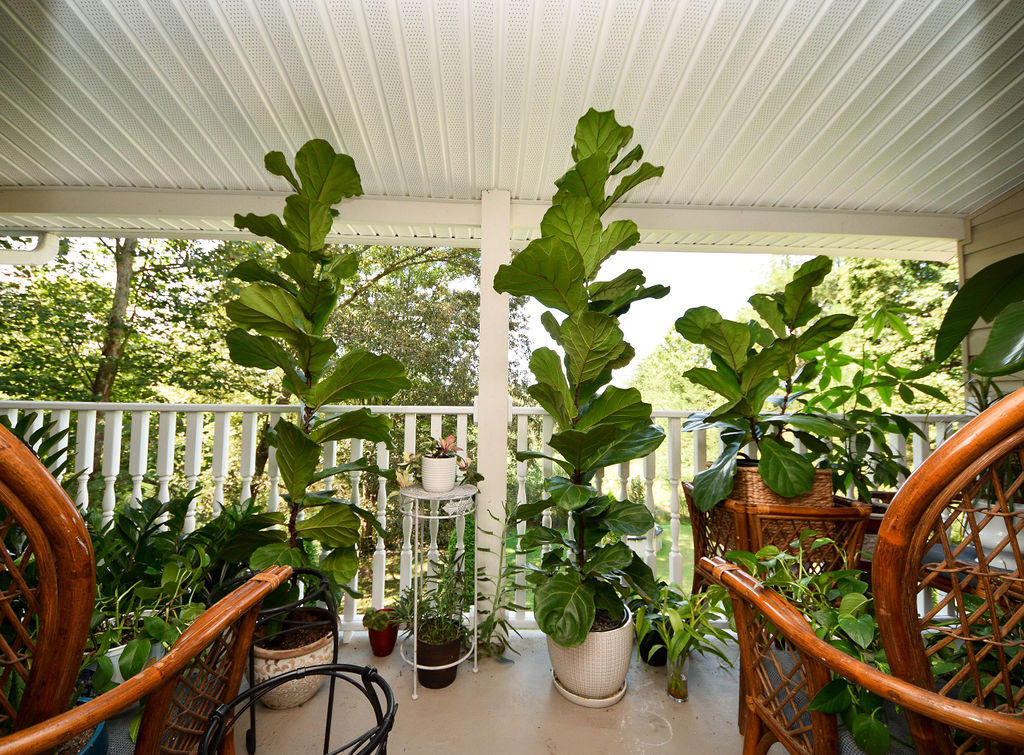 2420 Varnell Road Cleveland, TN 37311 - Photo 85 of 86 DSC_1870