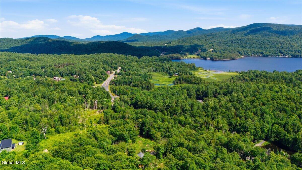 1482 Tupper Road Long Lake, NY 12847 - Photo 38 of 46 05-005_DJI_20260720154141_0165_D