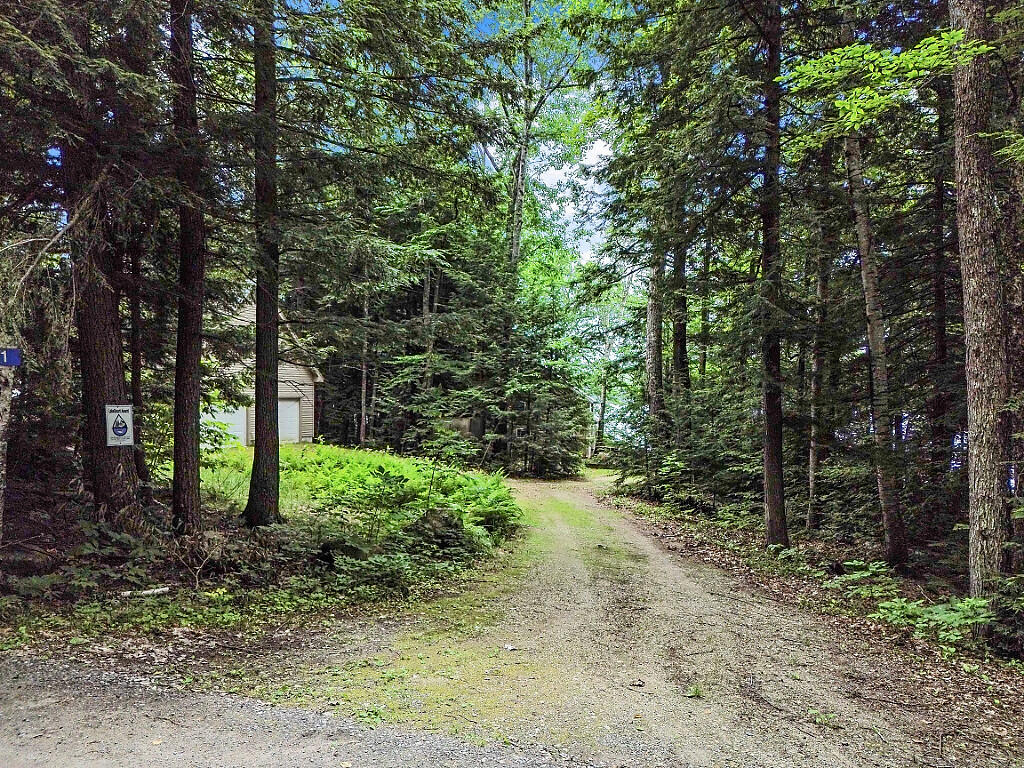 91 Diller Line Road Chesterville, ME 04938 - Photo 11 of 57 39_DJI_0182_DxO_mls