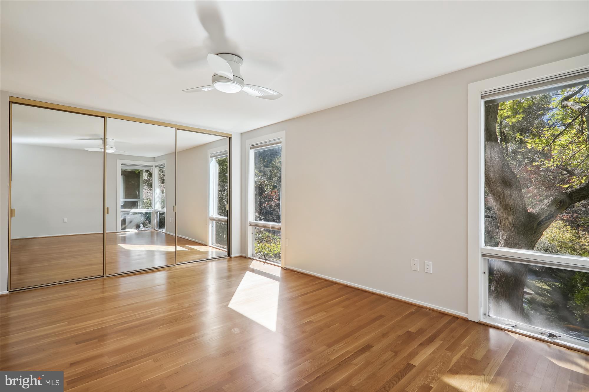 3913 Rickover Road Silver Spring, MD 20902 - Photo 16 of 43 Primary bedroom with floor to ceiling windows