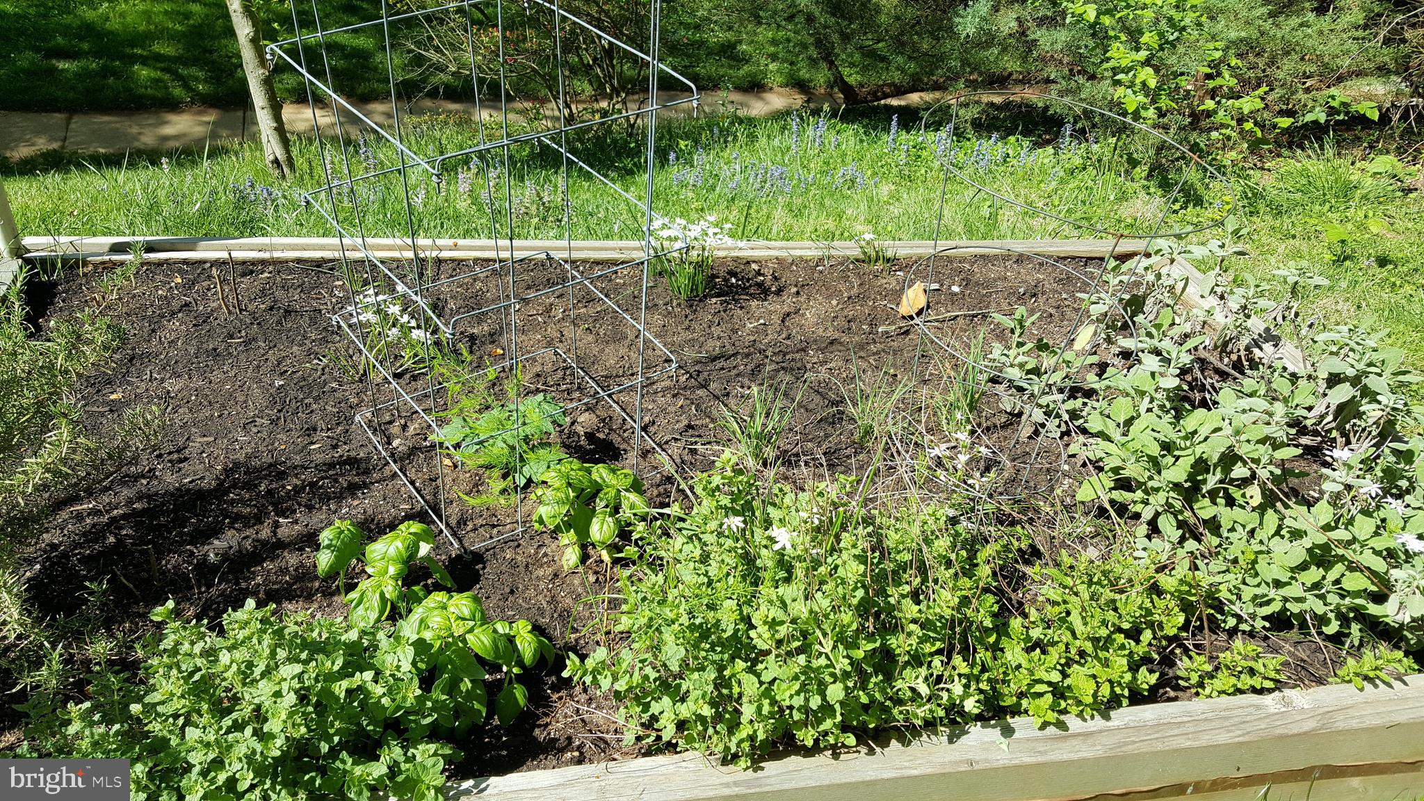3913 Rickover Road Silver Spring, MD 20902 - Photo 37 of 43 veggie bed