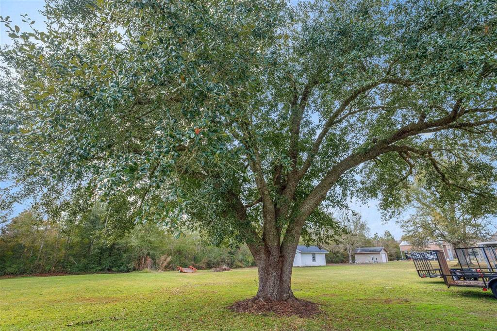 2821 Todd Jude Road Lake Charles, LA 70607 - Photo 18 of 24