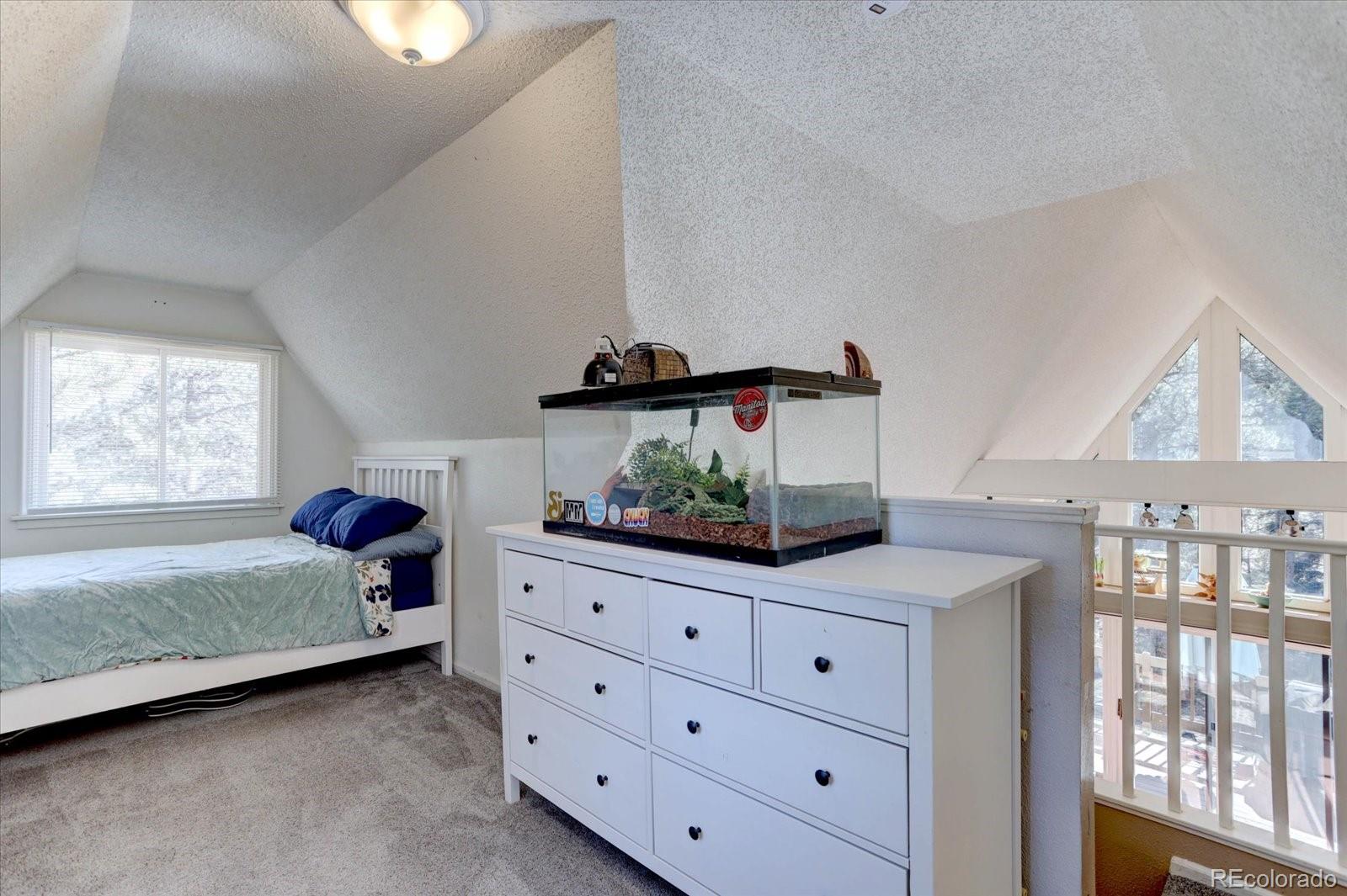 33350 Beverly Road Pine, CO 80470 - Photo 15 of 32