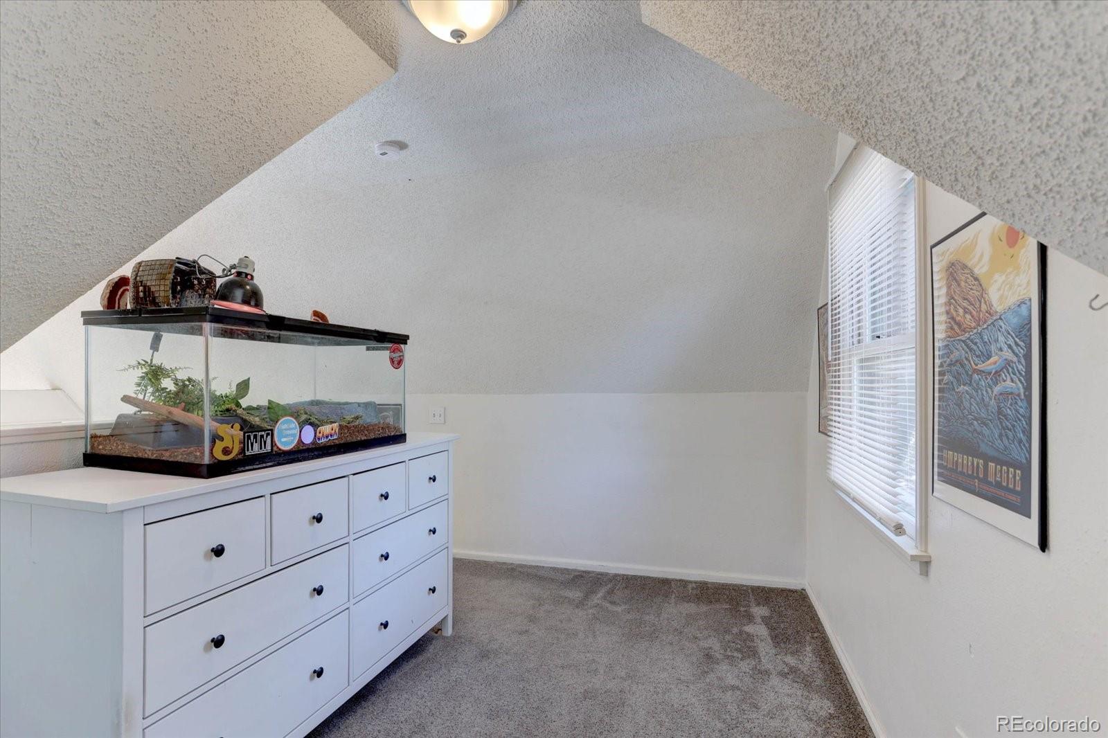 33350 Beverly Road Pine, CO 80470 - Photo 16 of 32