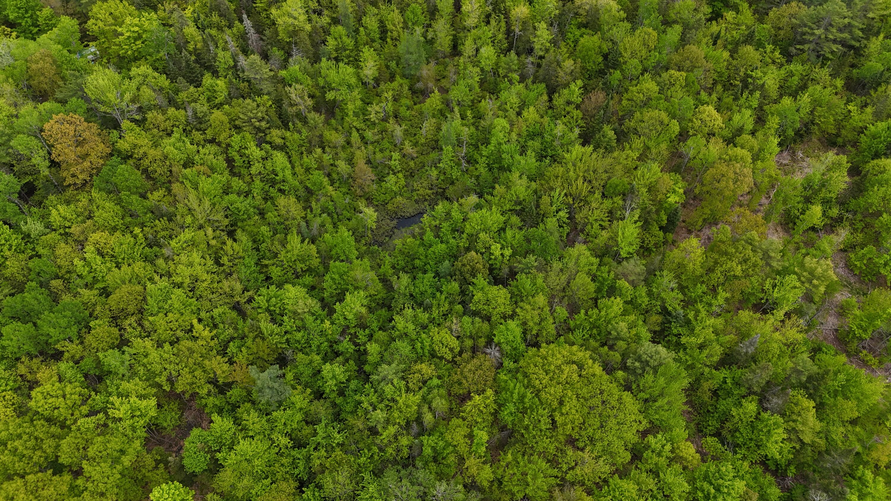 1816 Dexter Road Dover-Foxcroft, ME 04426 - Photo 68 of 70 DJI_20260530011110_0101_D