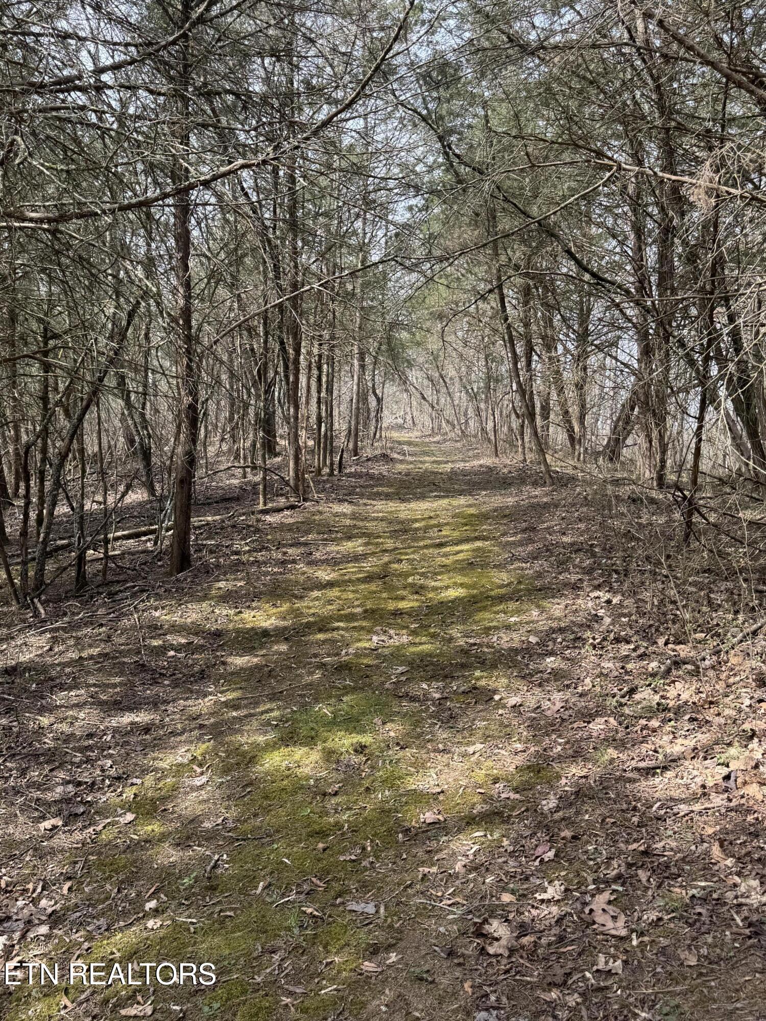 Creek Road Newport, TN 37821 - Photo 11 of 36 IMG_7087