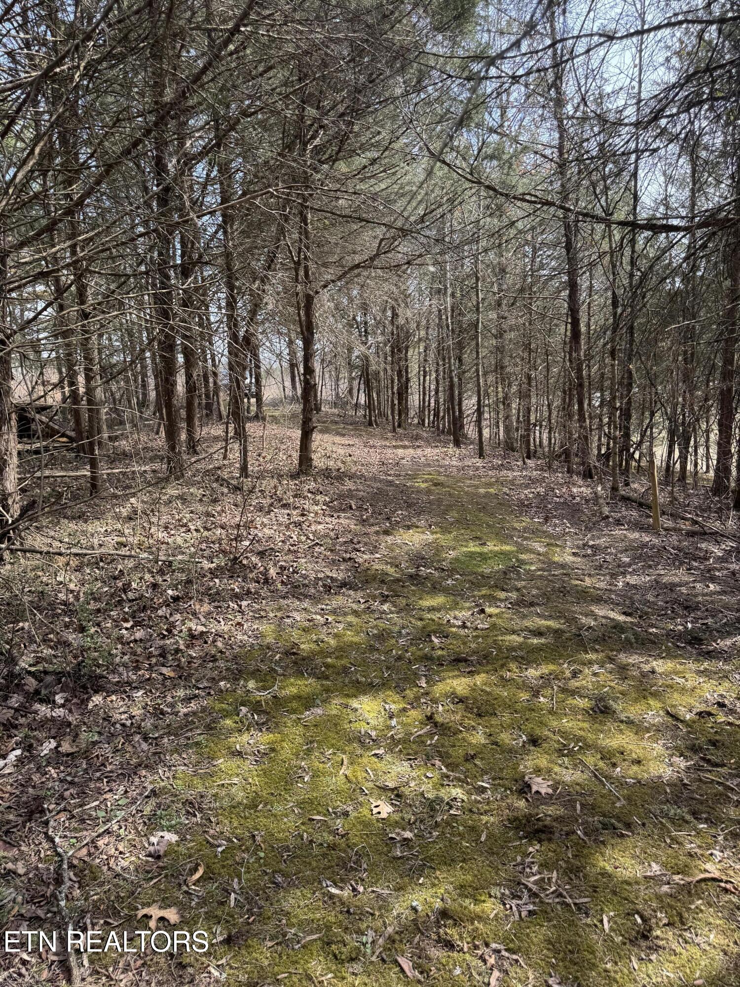 Creek Road Newport, TN 37821 - Photo 12 of 36 IMG_7090