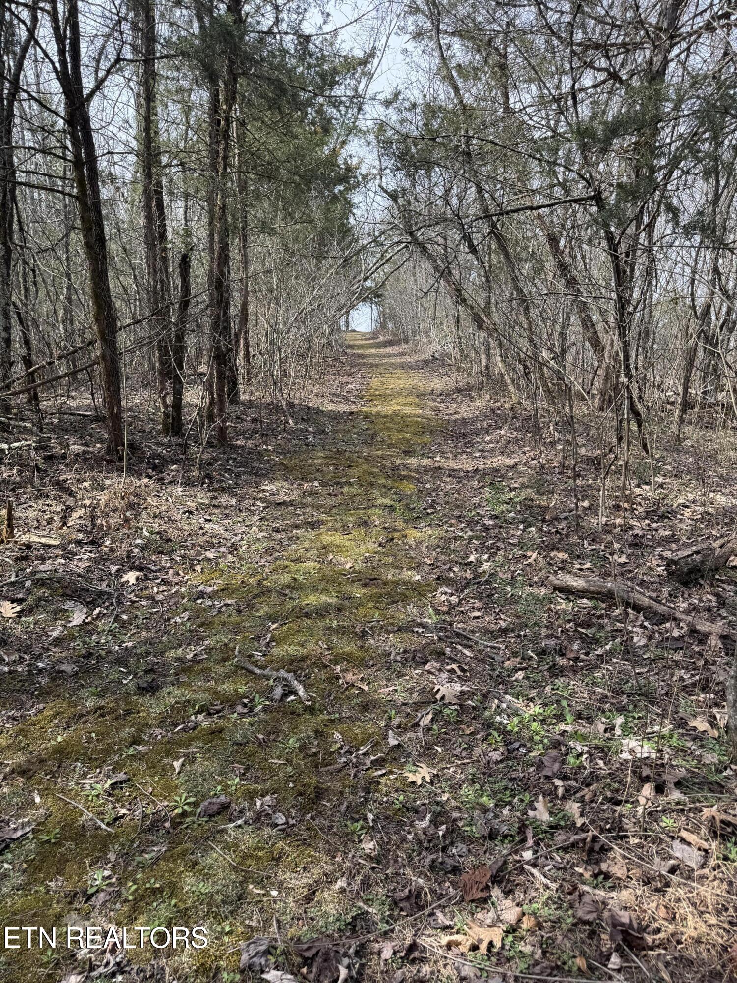 Creek Road Newport, TN 37821 - Photo 13 of 36 IMG_7091