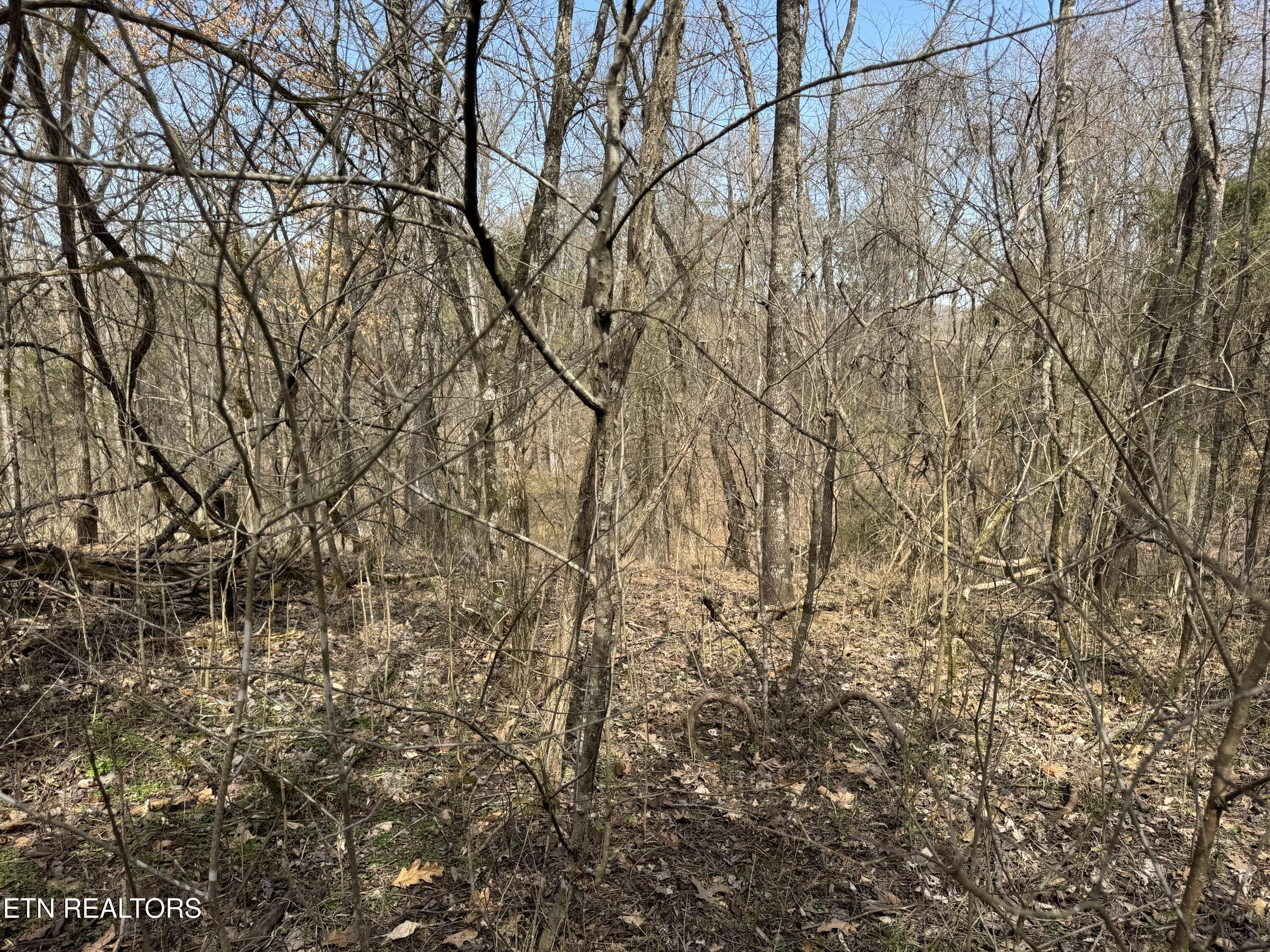 Creek Road Newport, TN 37821 - Photo 14 of 36 IMG_7092