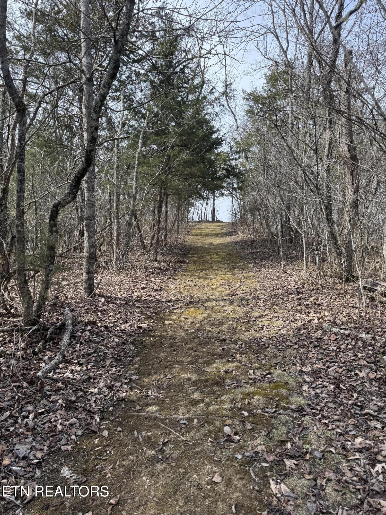 Creek Road Newport, TN 37821 - Photo 15 of 36 IMG_7093