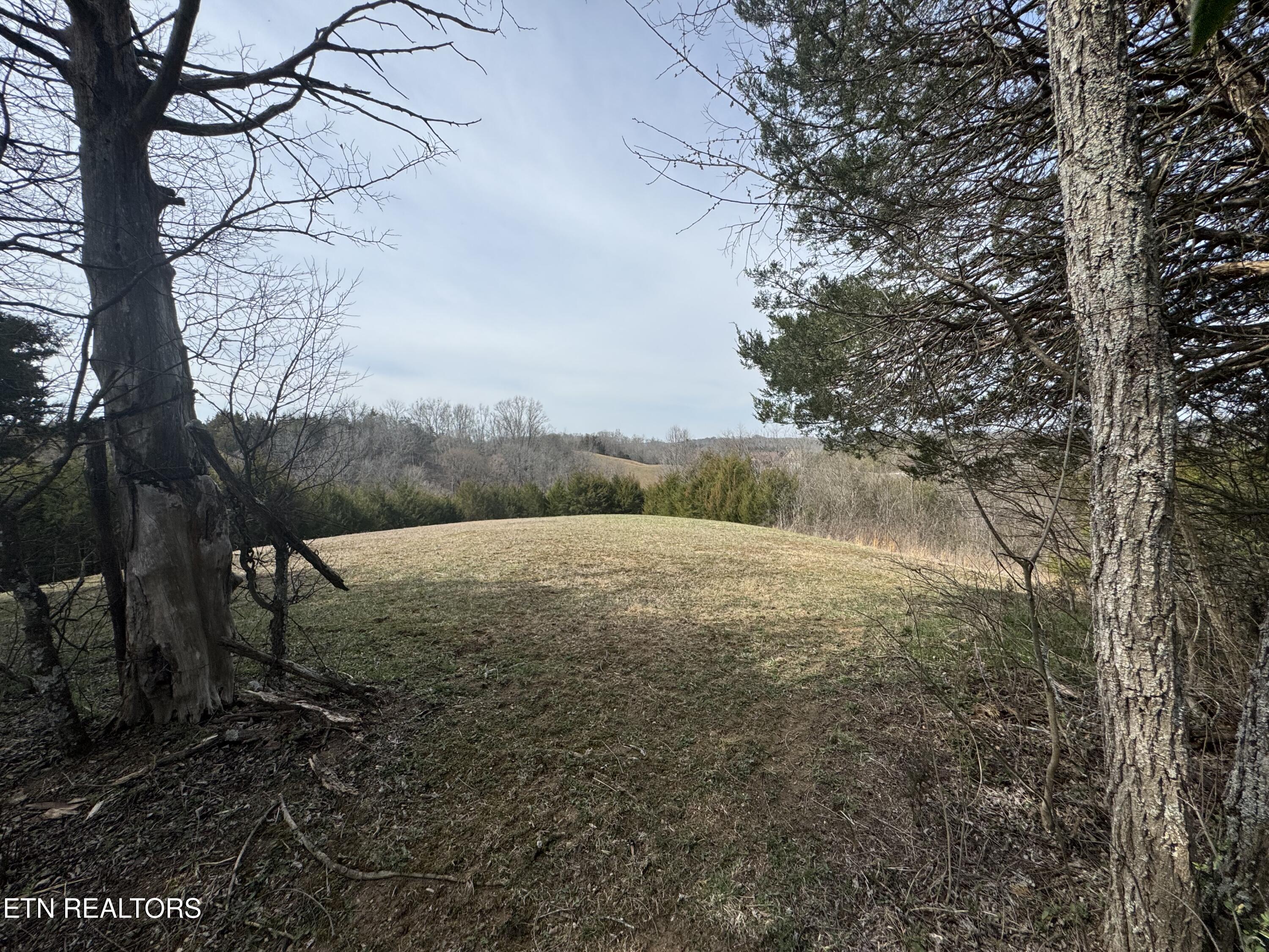 Creek Road Newport, TN 37821 - Photo 16 of 36 IMG_7094