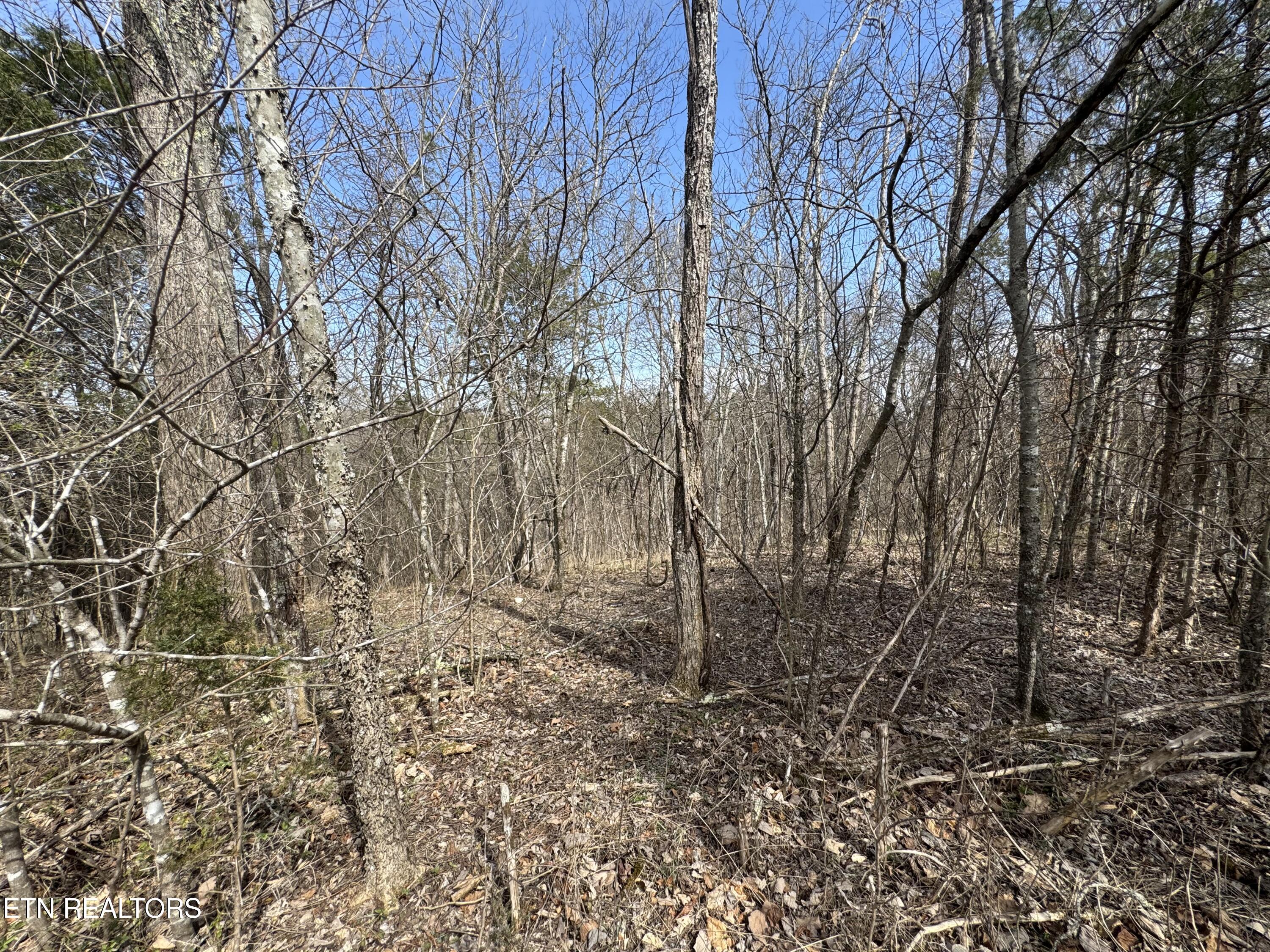 Creek Road Newport, TN 37821 - Photo 17 of 36 IMG_7097