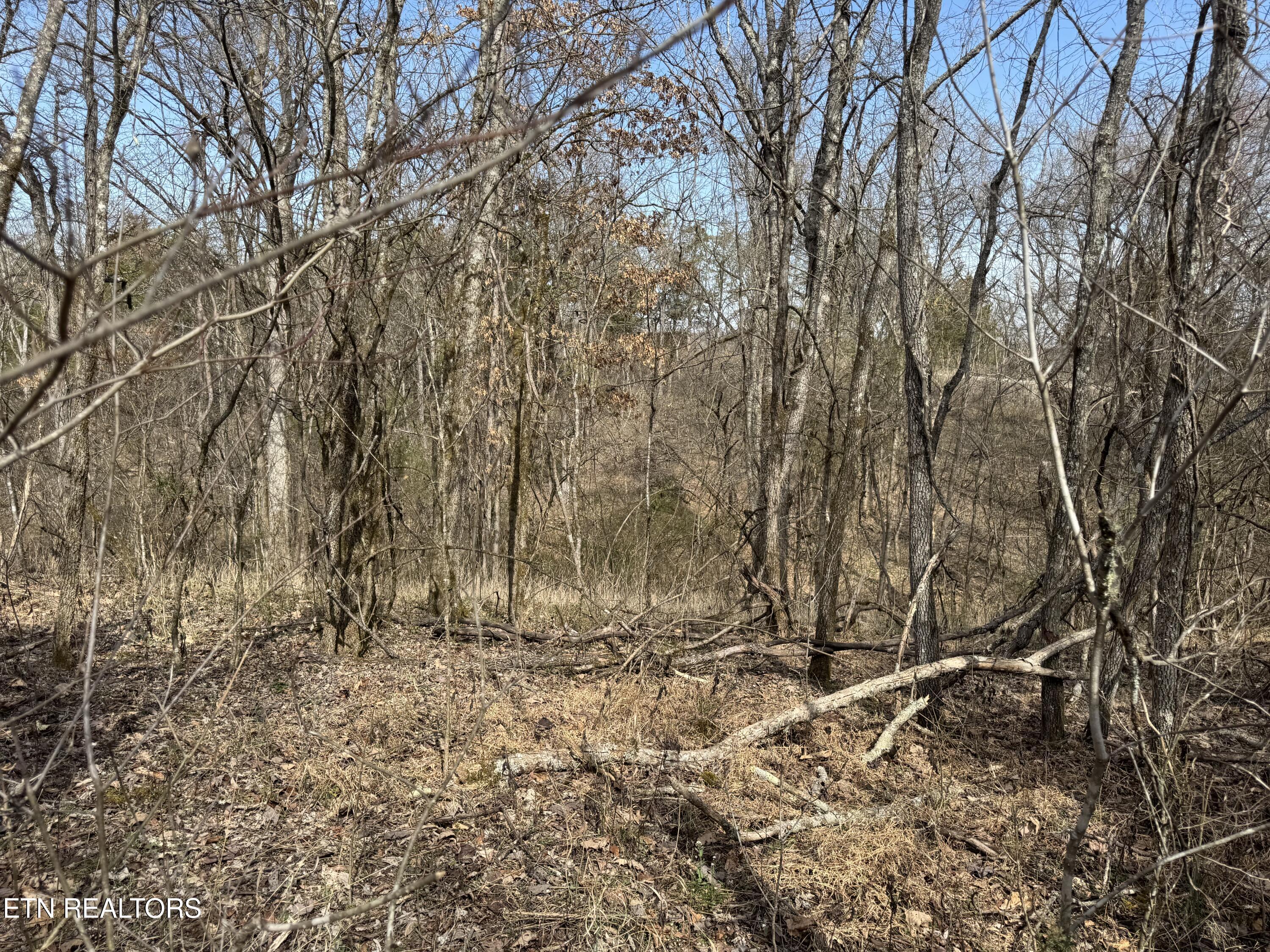 Creek Road Newport, TN 37821 - Photo 18 of 36 IMG_7099