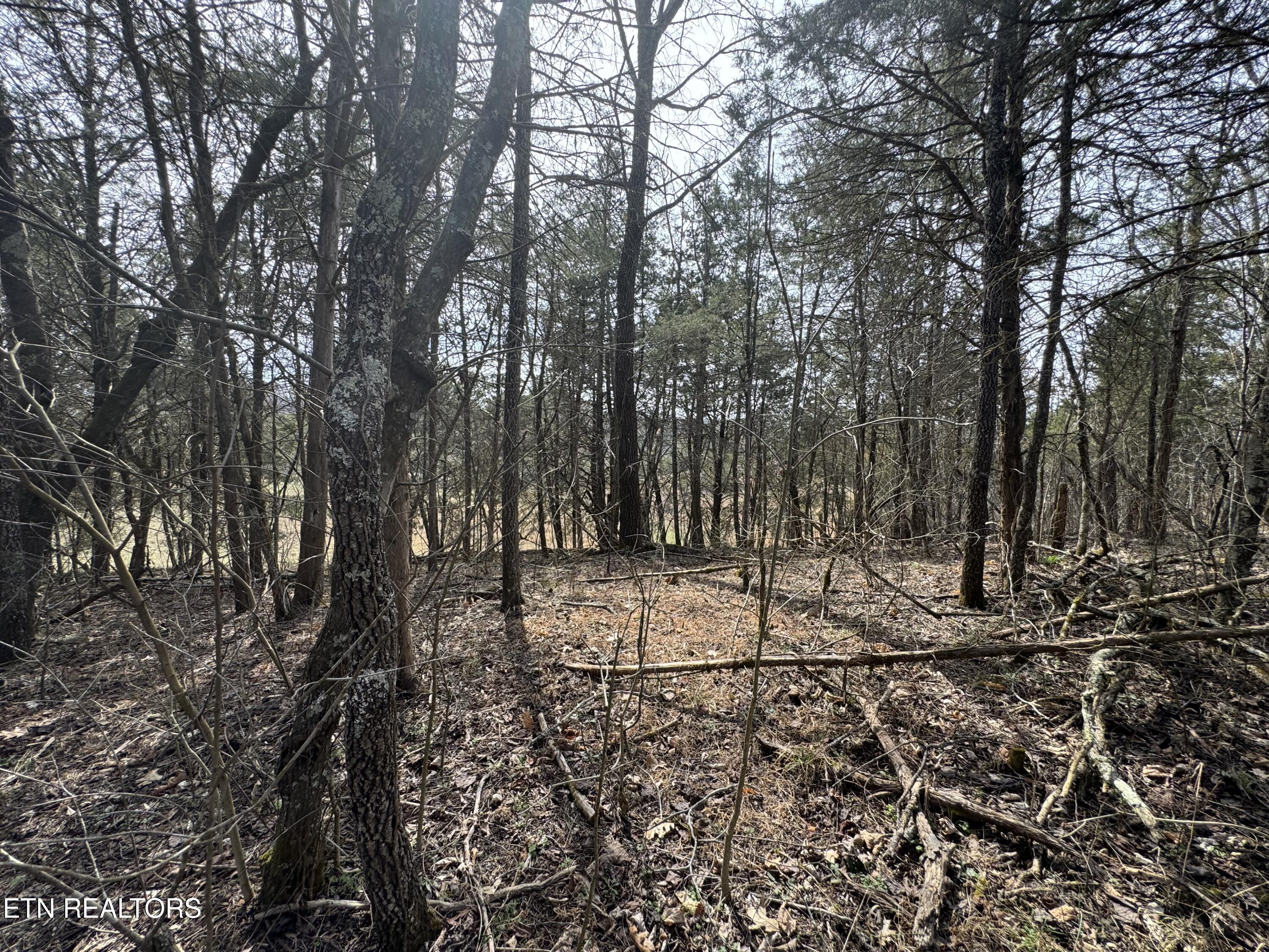 Creek Road Newport, TN 37821 - Photo 19 of 36 IMG_7101