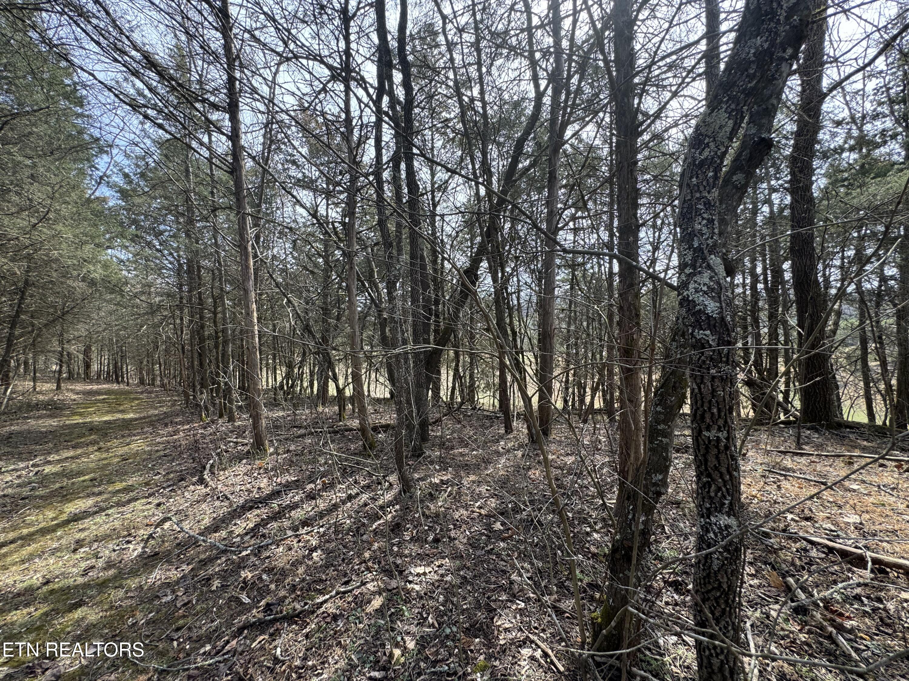 Creek Road Newport, TN 37821 - Photo 20 of 36 IMG_7103