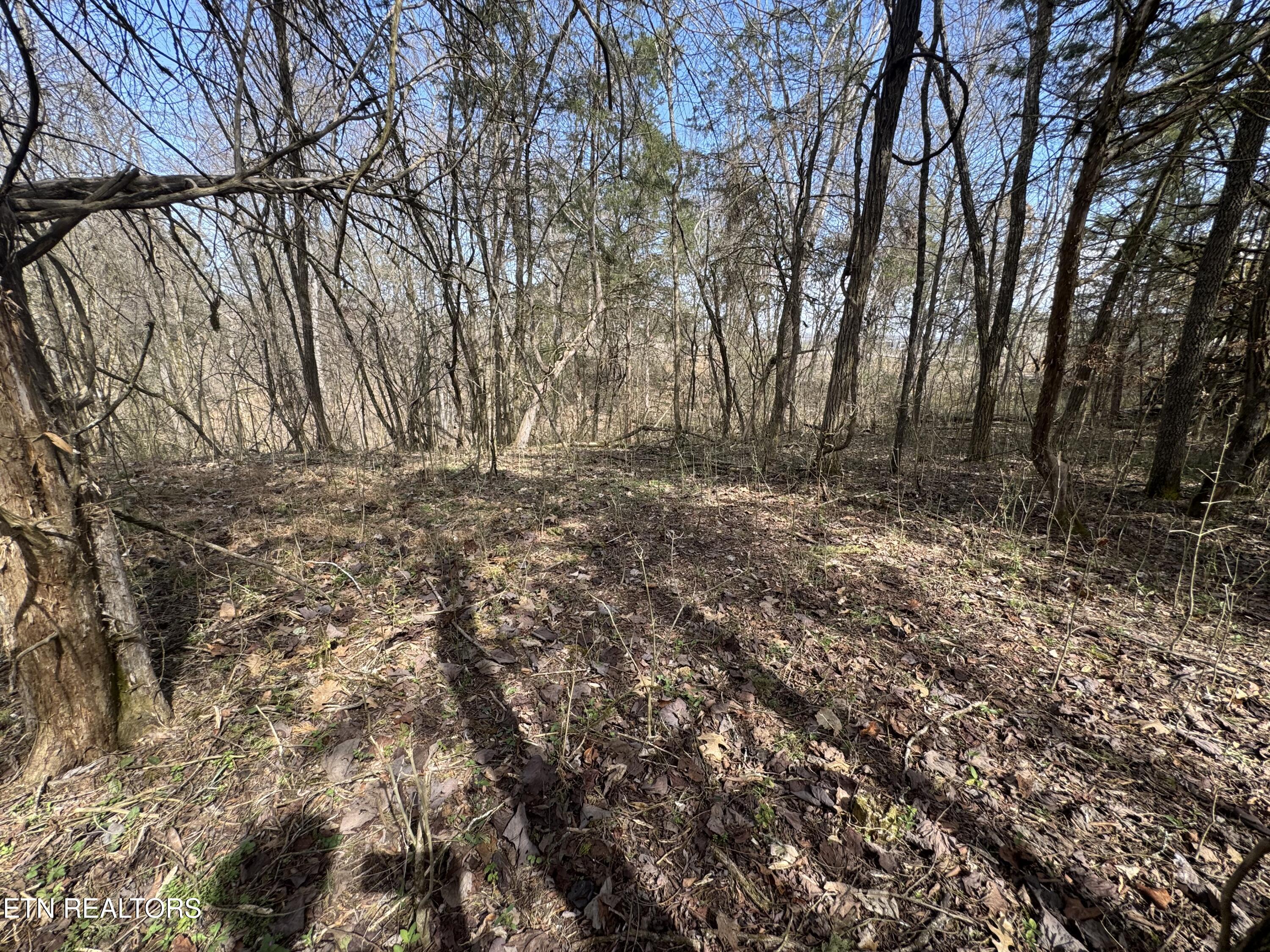 Creek Road Newport, TN 37821 - Photo 21 of 36 IMG_7104