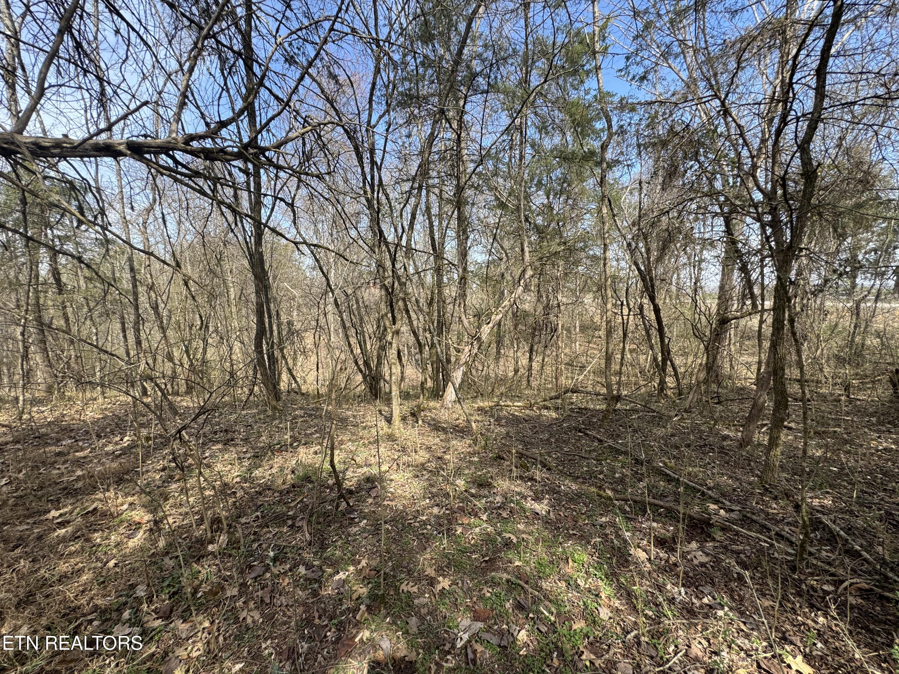 Creek Road Newport, TN 37821 - Photo 22 of 36 IMG_7105