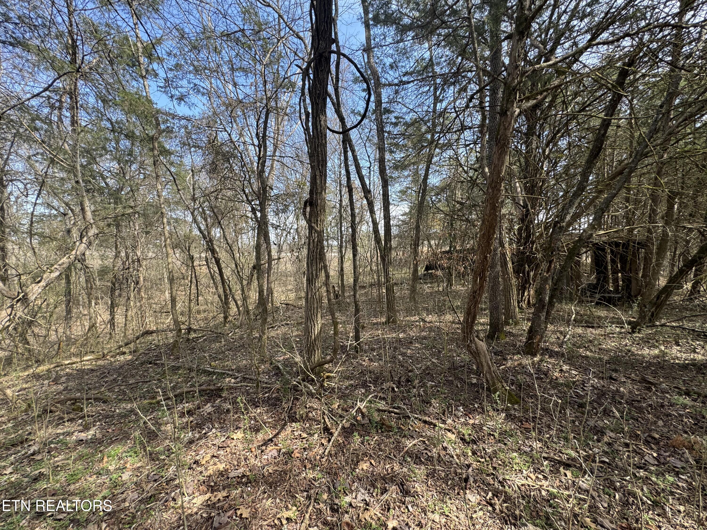 Creek Road Newport, TN 37821 - Photo 23 of 36 IMG_7106