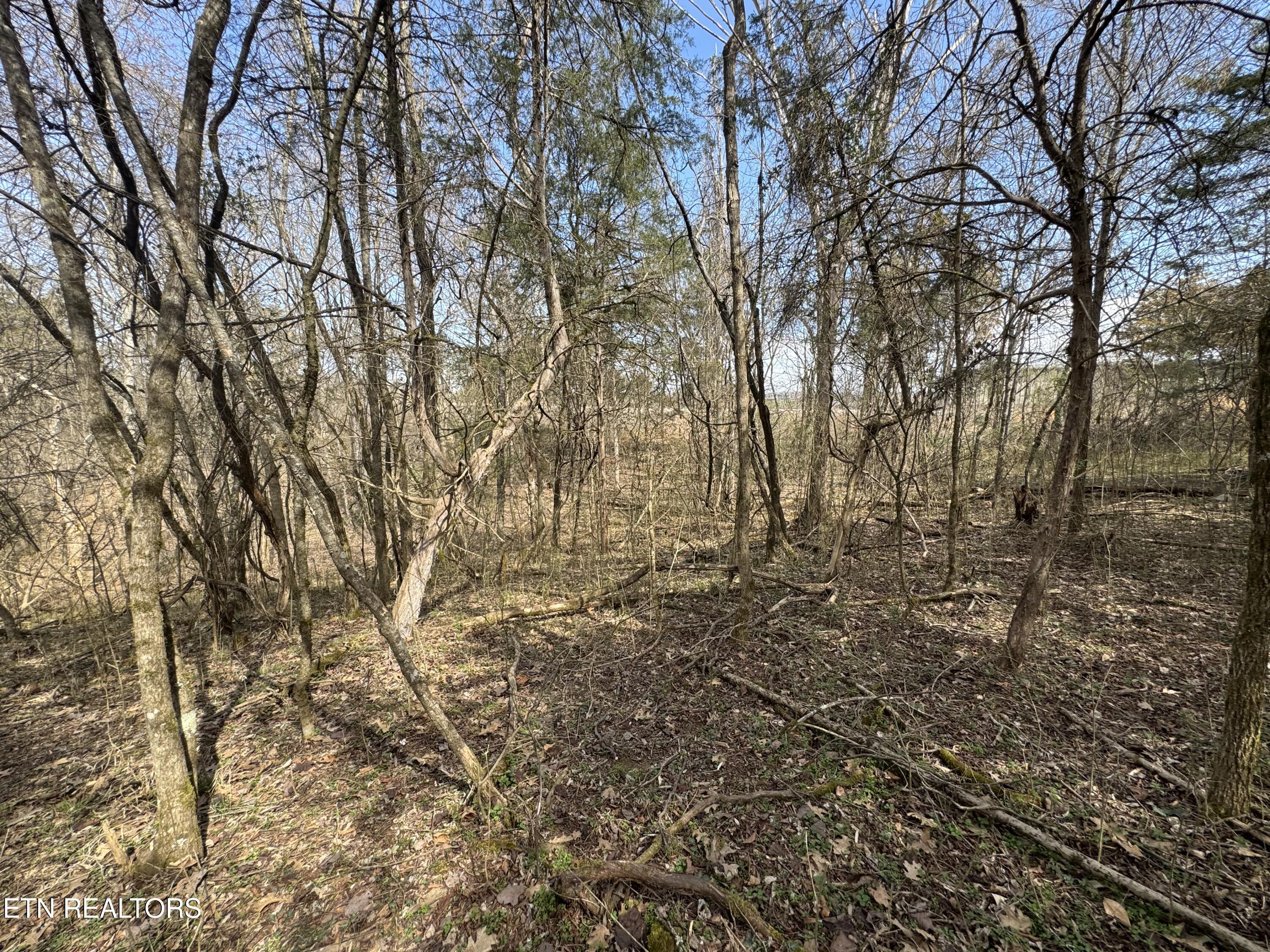 Creek Road Newport, TN 37821 - Photo 24 of 36 IMG_7107