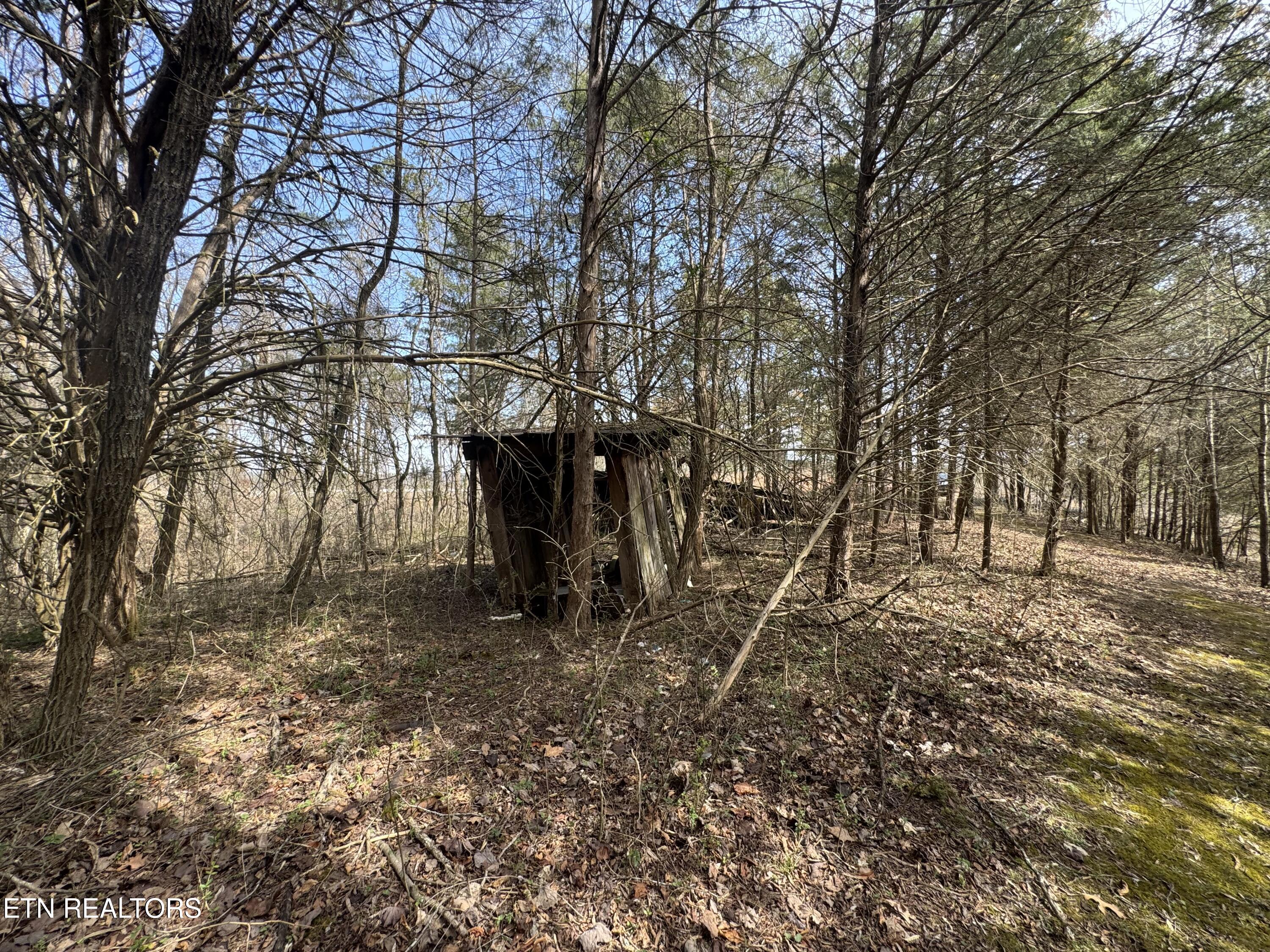 Creek Road Newport, TN 37821 - Photo 25 of 36 IMG_7110