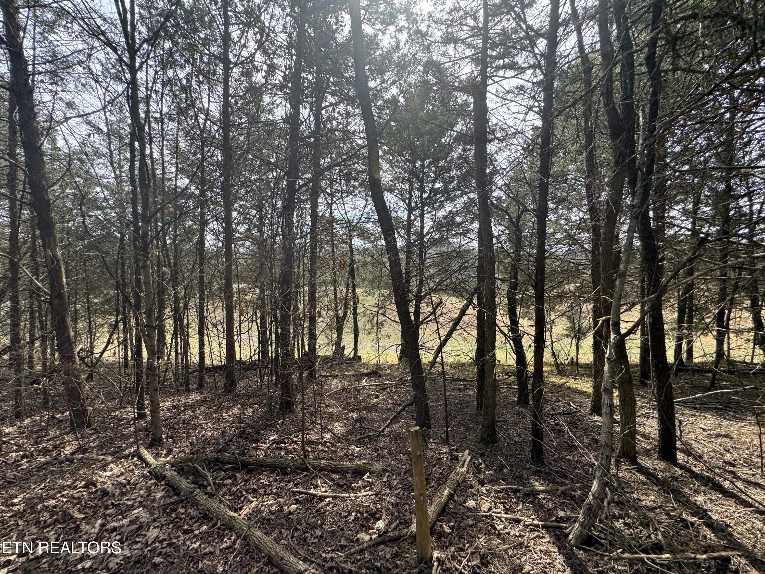 Creek Road Newport, TN 37821 - Photo 26 of 36 IMG_7111