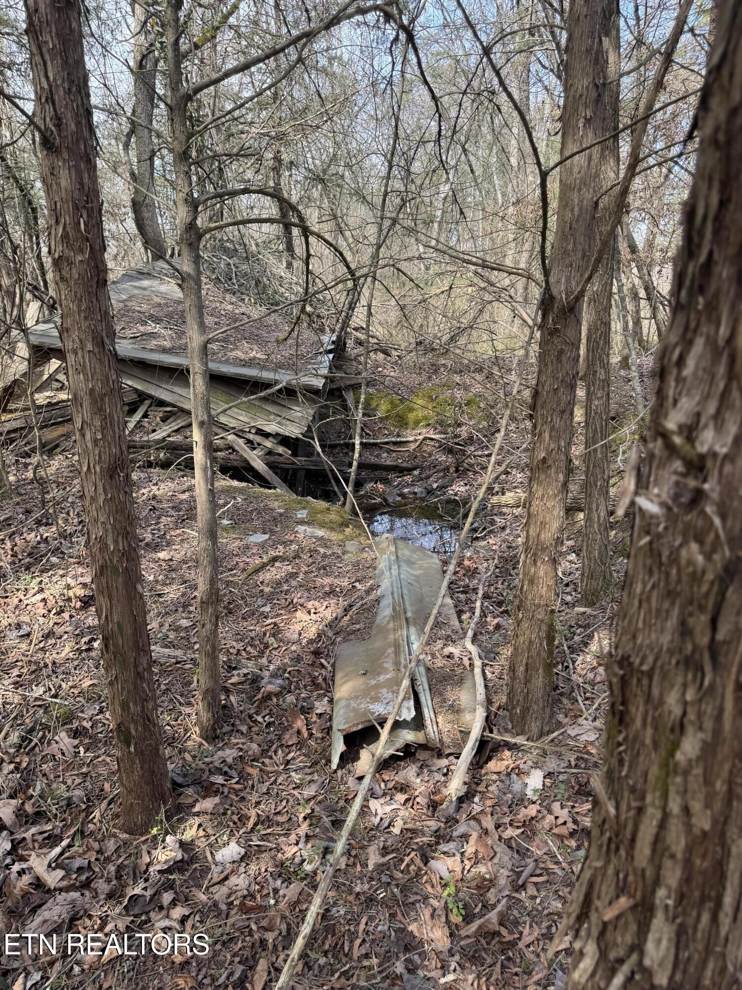 Creek Road Newport, TN 37821 - Photo 27 of 36 IMG_7112