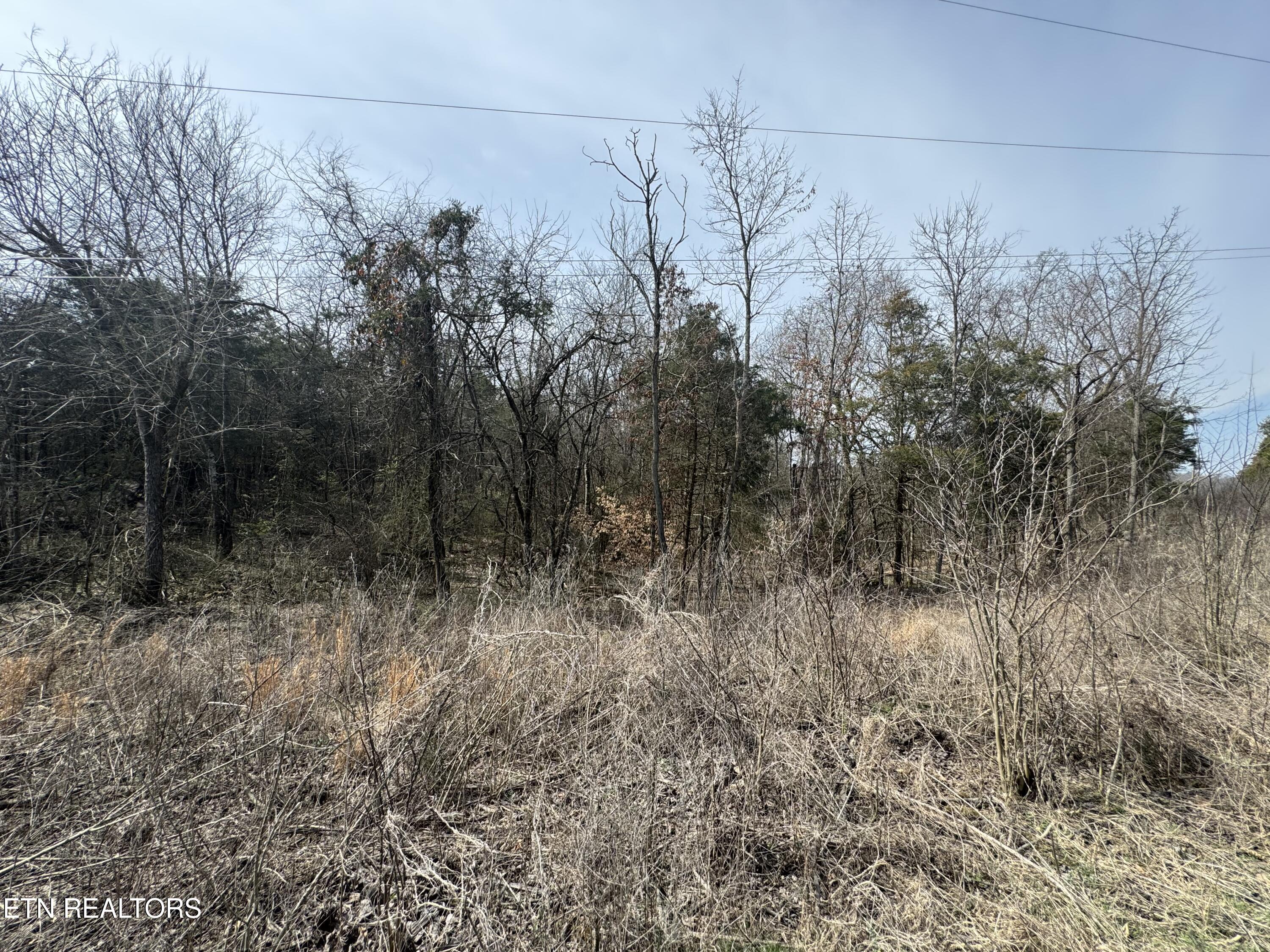 Creek Road Newport, TN 37821 - Photo 28 of 36 IMG_7115