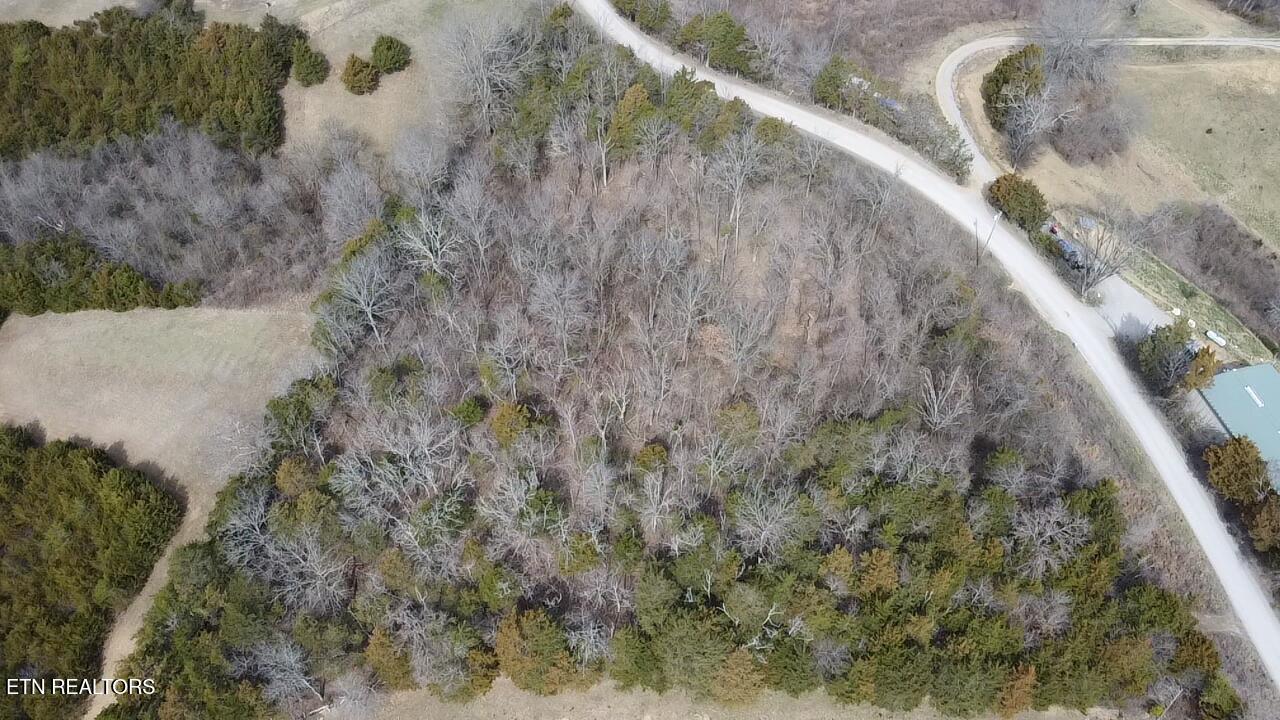 Creek Road Newport, TN 37821 - Photo 29 of 36 2025-03-14-12-47-13-574